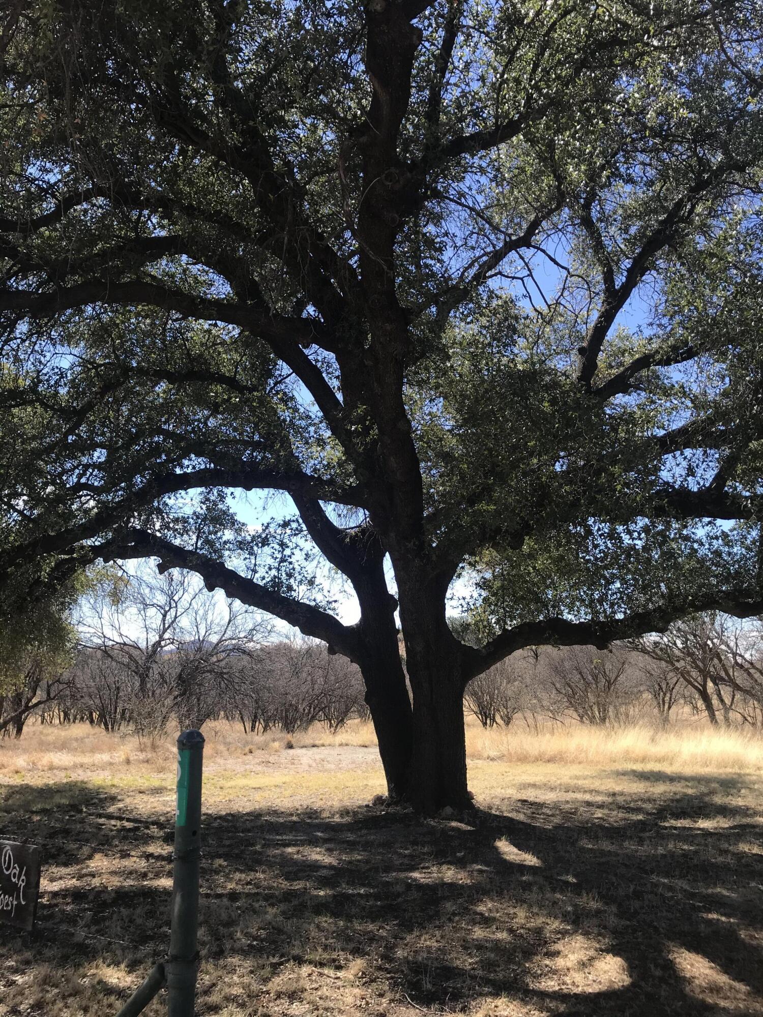Crown C Ranch - Residential