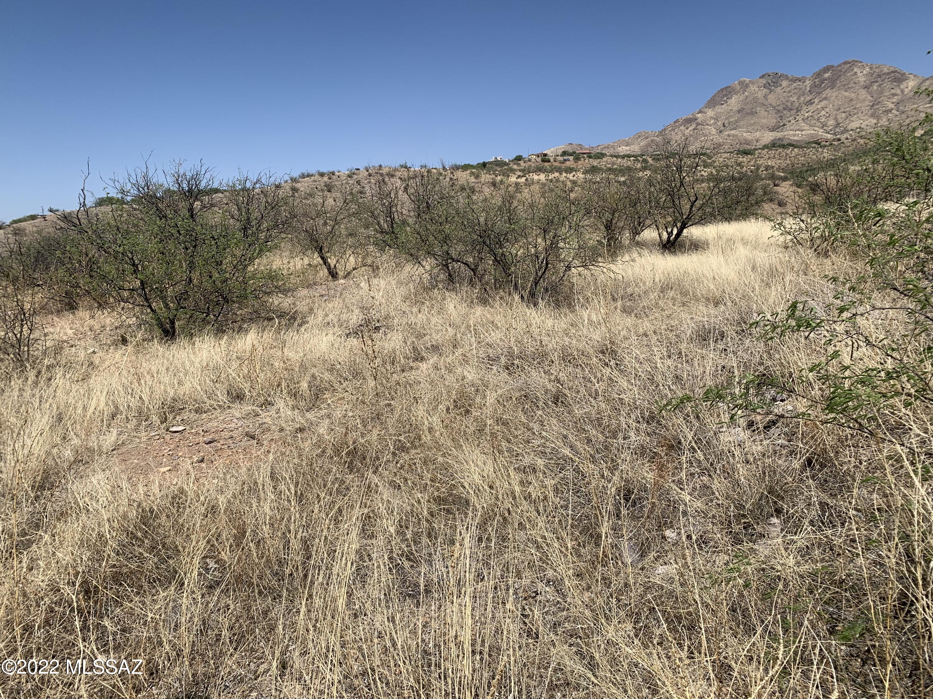 Rio Rico Ranchettes - Land
