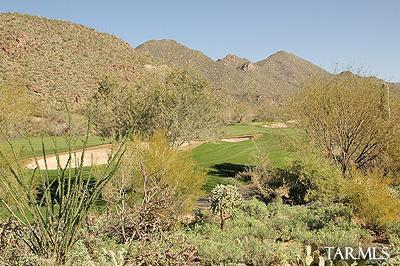 Canyon Pass At Dove Mountain(1-48) - Residential