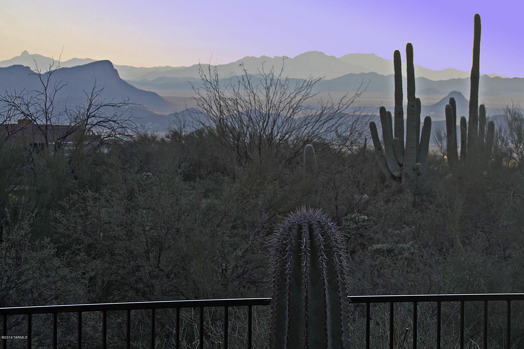 Canyon Pass At Dove Mountain(1-48) - Residential