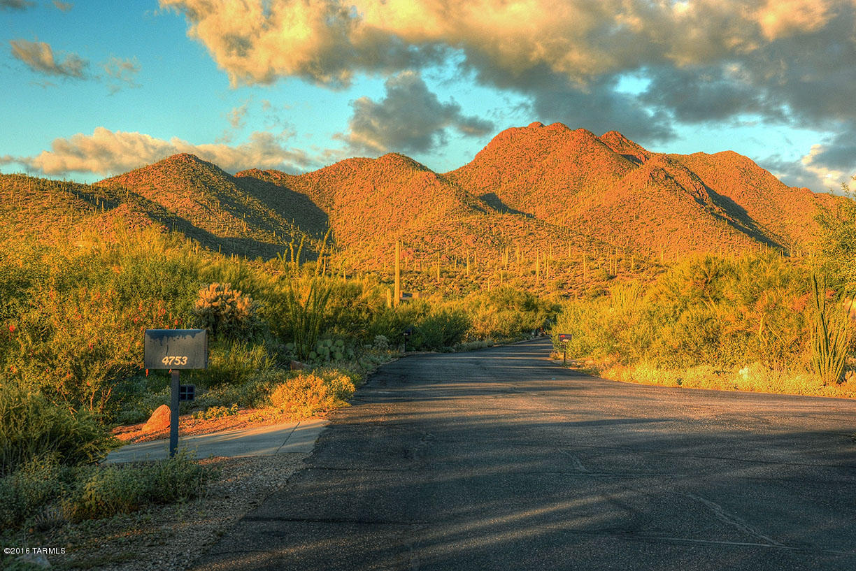 Saguaro Cliffs (1-61) - Residential