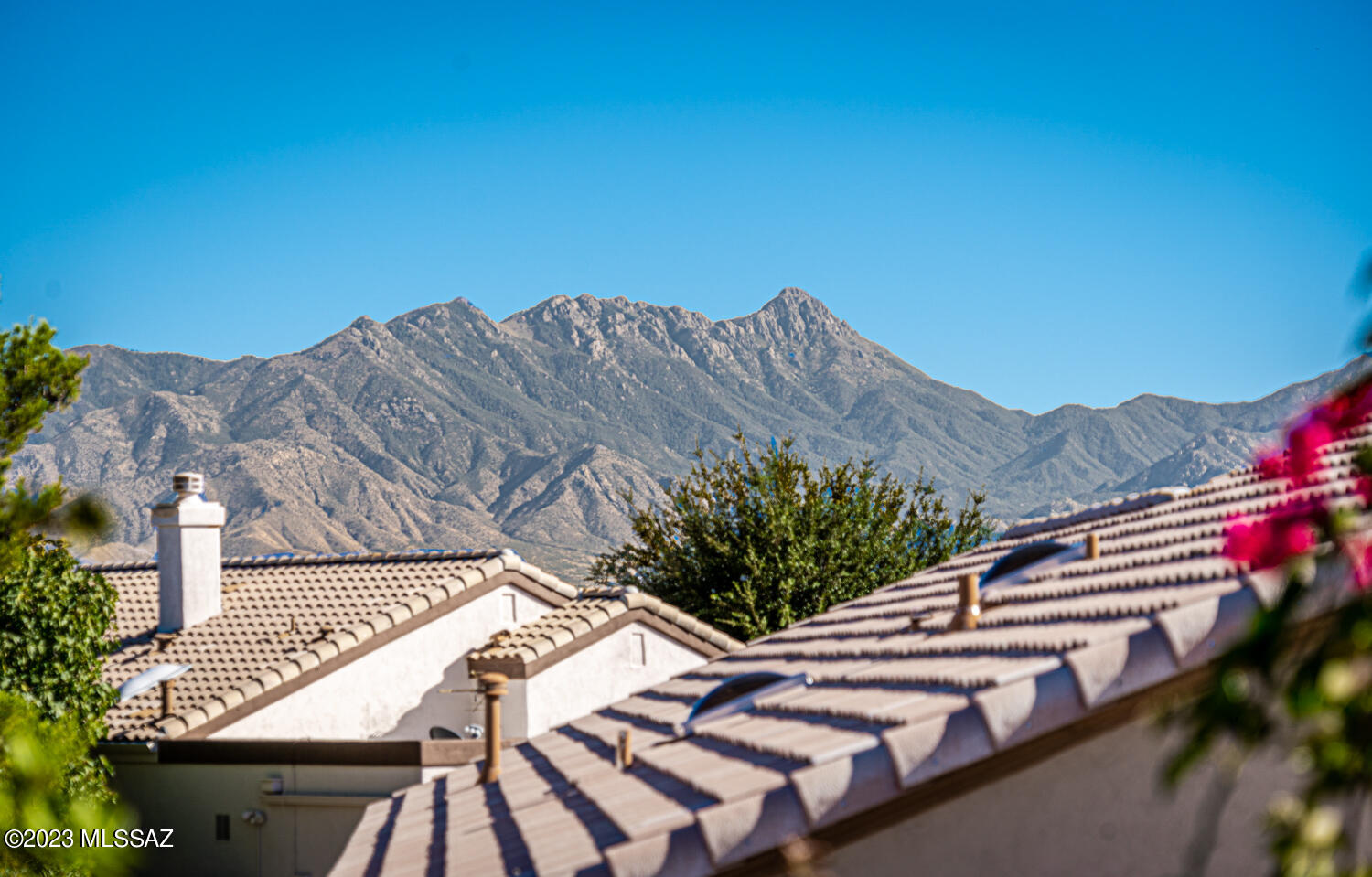 Colonia De Los Alamos - Desert Creek - Residential