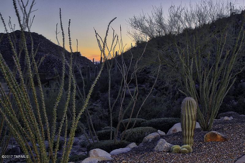 Canyon Pass III At Dove Mountain (111-181) - Residential