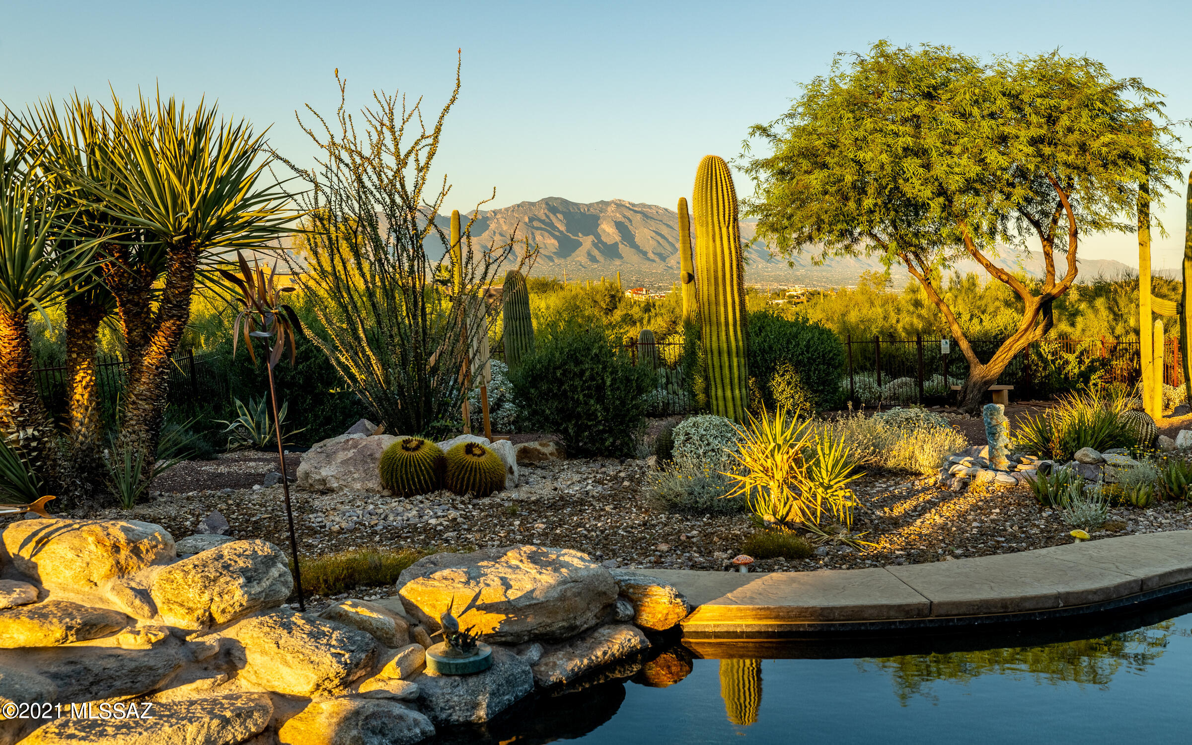 Saguaro Cliffs (1-61) - Residential