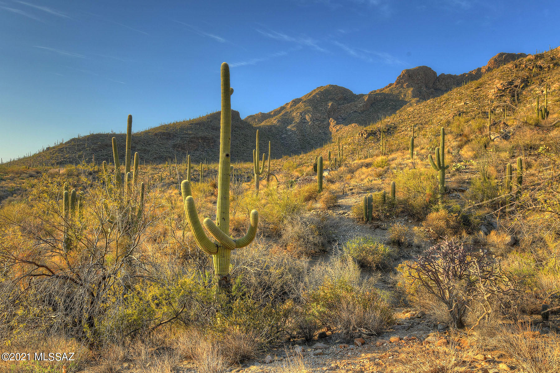 Price ranged from $650,000. - $700,000. Amazing and rare opportunity to own a 4.6 acre homesite bordering the Coronado National Forest at the top of prestigious gated  Pima Canyon beyond the  second gate.  Fabulous city , mountain , sunrise and sunset views, magnificent stately saguaros, an owners dream of serene privacy and ability to create your own architectural masterpiece.