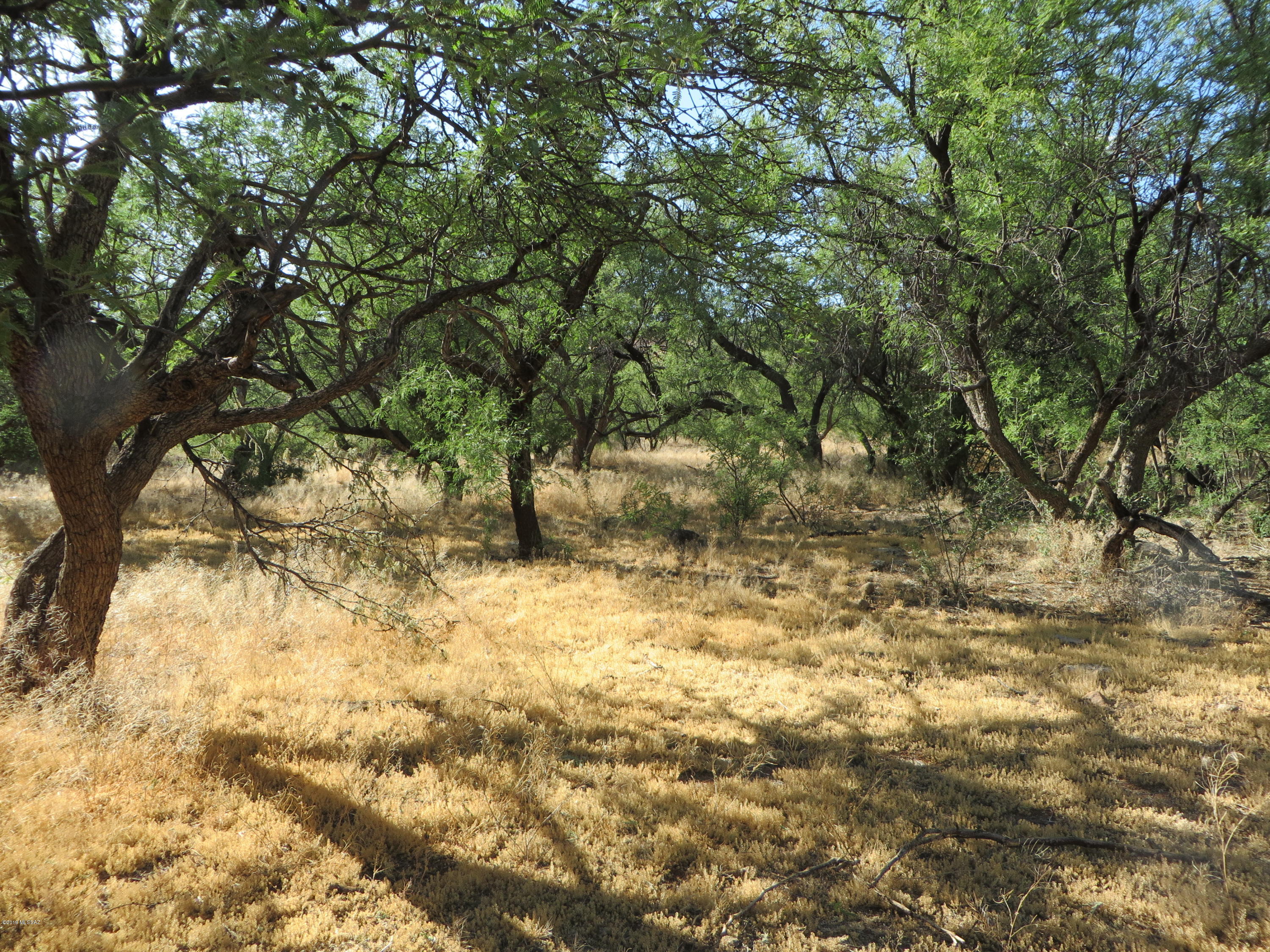 Rio Rico Estates 16 - Residential