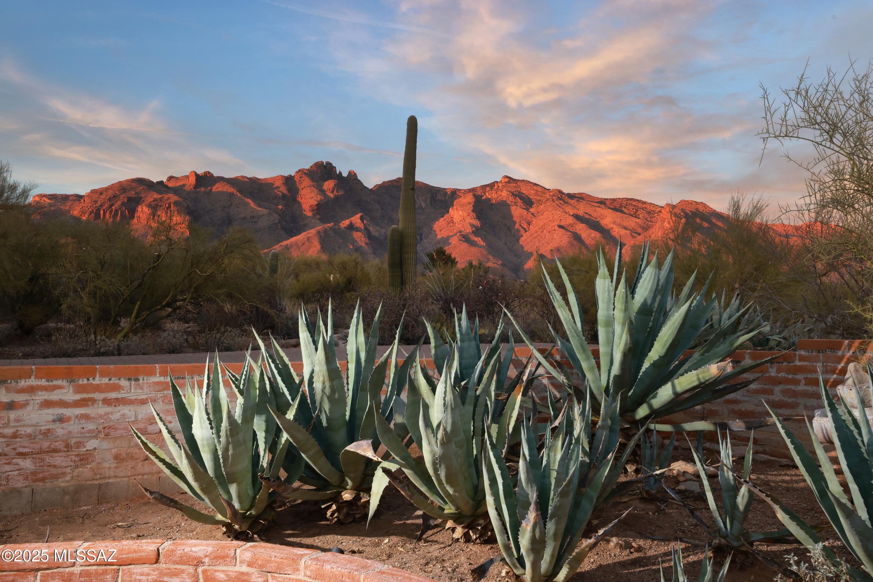 Catalina Foothills Estates NO. 6 (1-54) - Residential