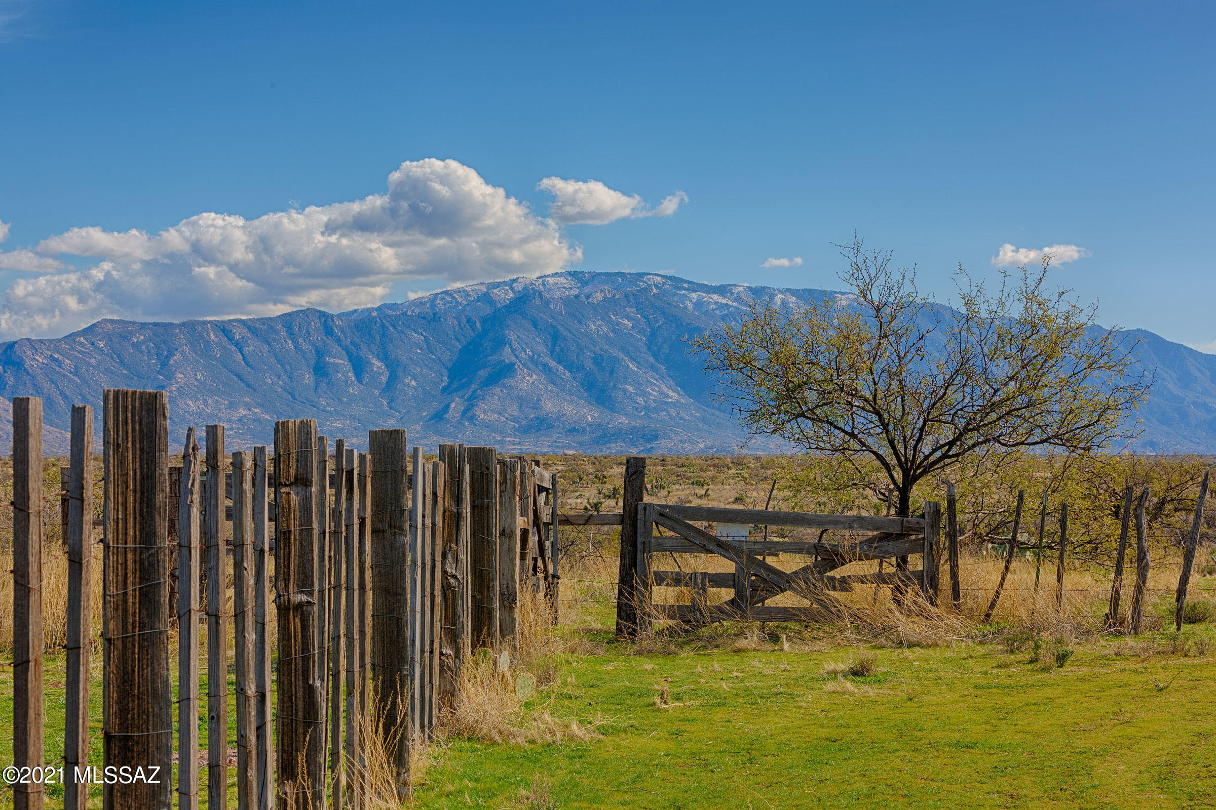 Saddlebrooke Ranch - Residential