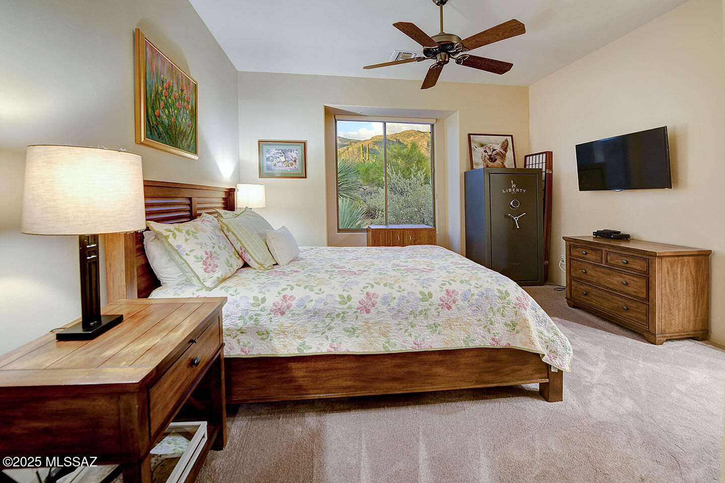 Pima Canyon Estates (1-176) - Residential