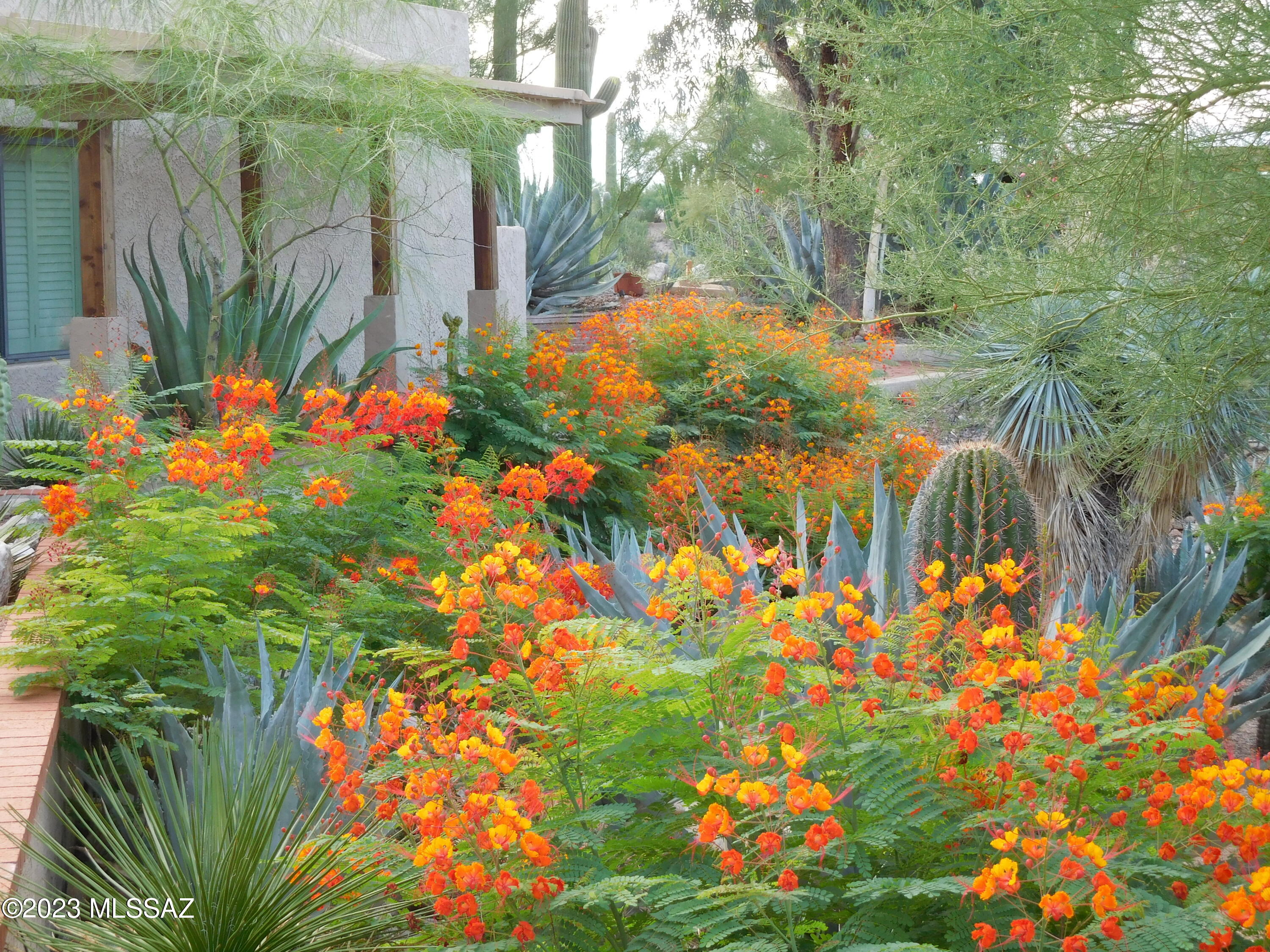 San Simeon 1 - Residential