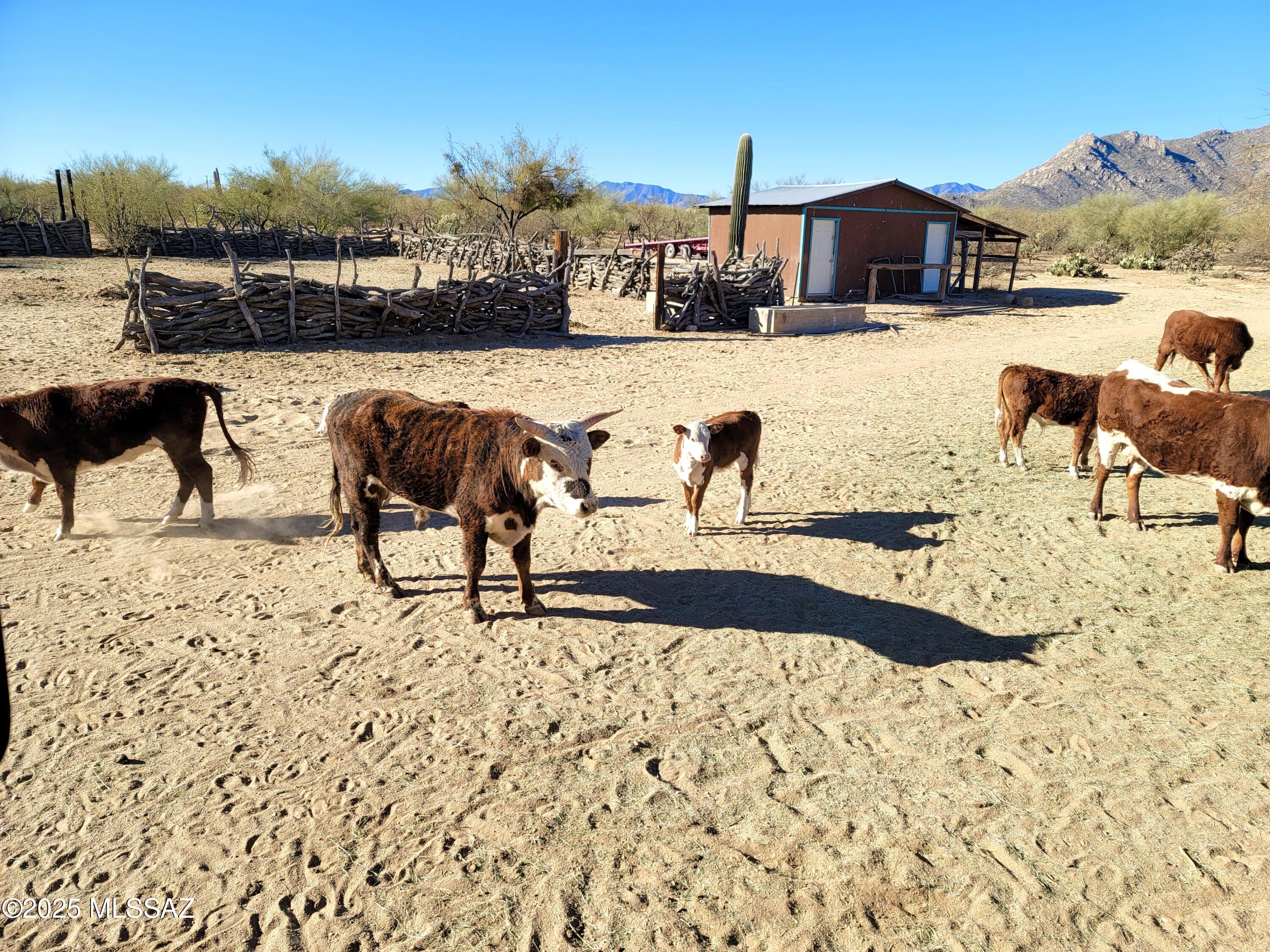 Hayhook Ranch - Residential