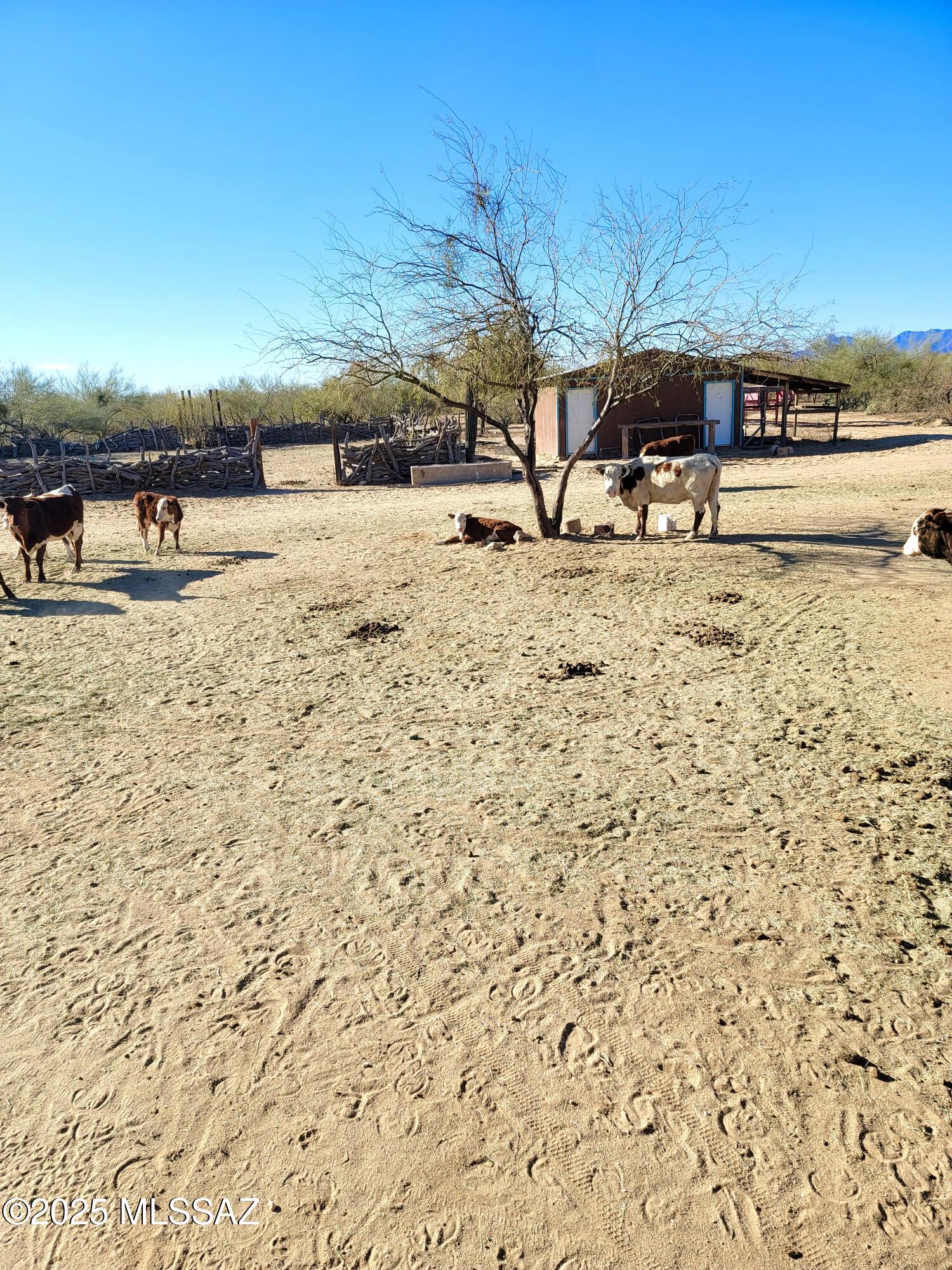 Hayhook Ranch - Residential