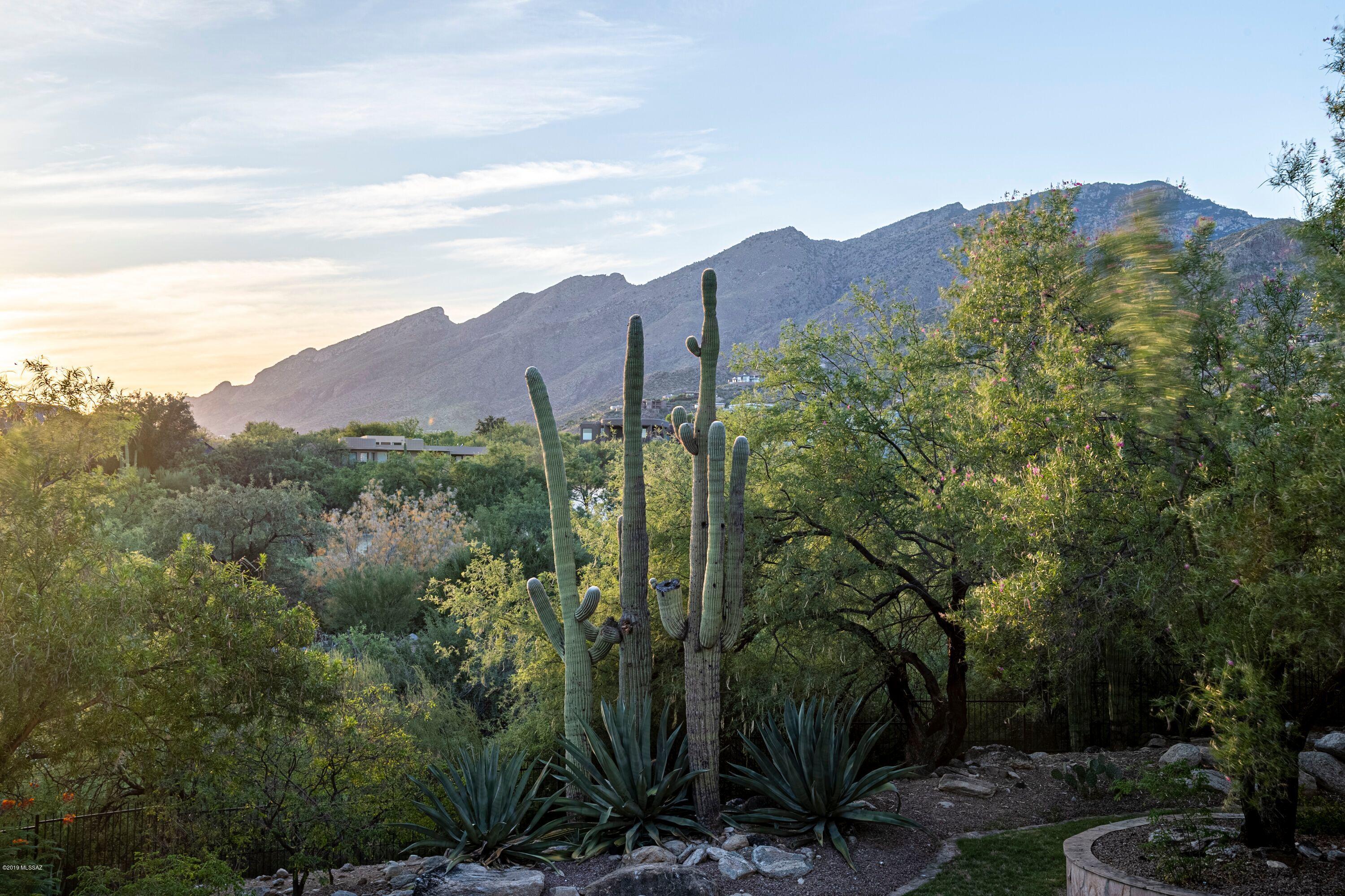 Canyon View Estates (1-58) - Residential