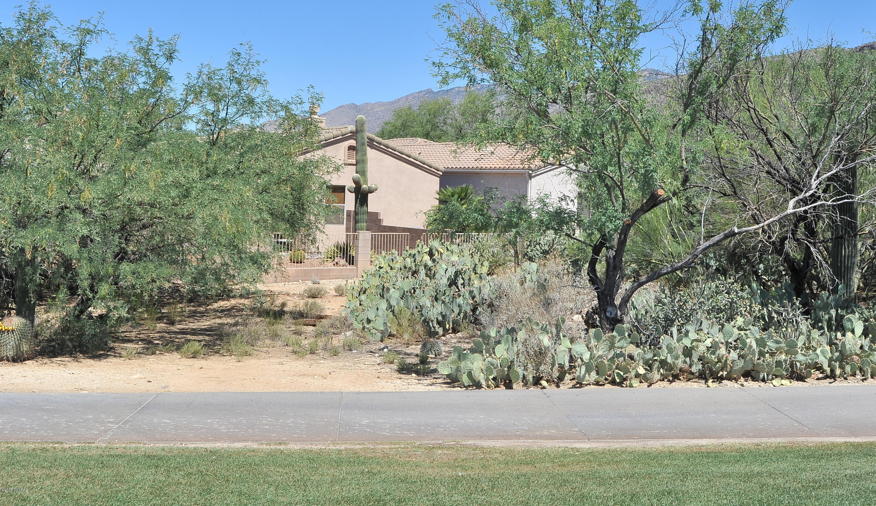 Pinnacle @ Sabino Springs resub (1-62) - Residential