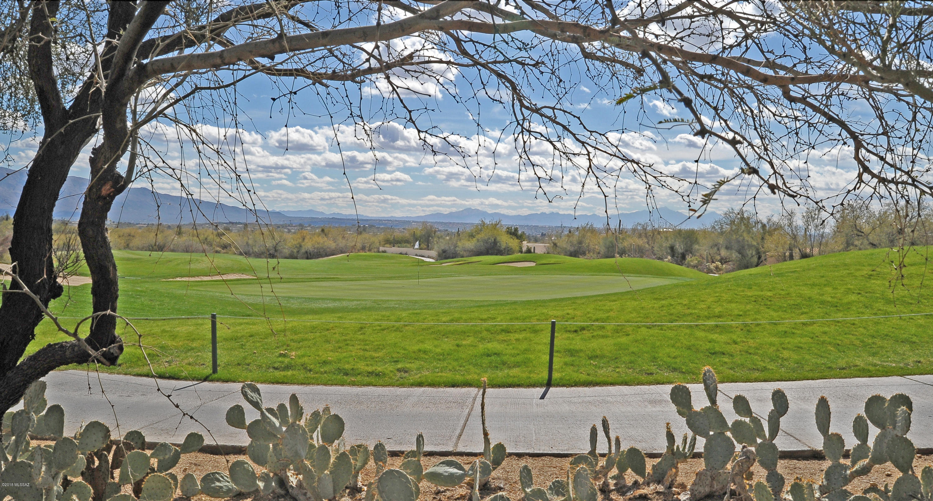 Pinnacle @ Sabino Springs resub (1-62) - Residential