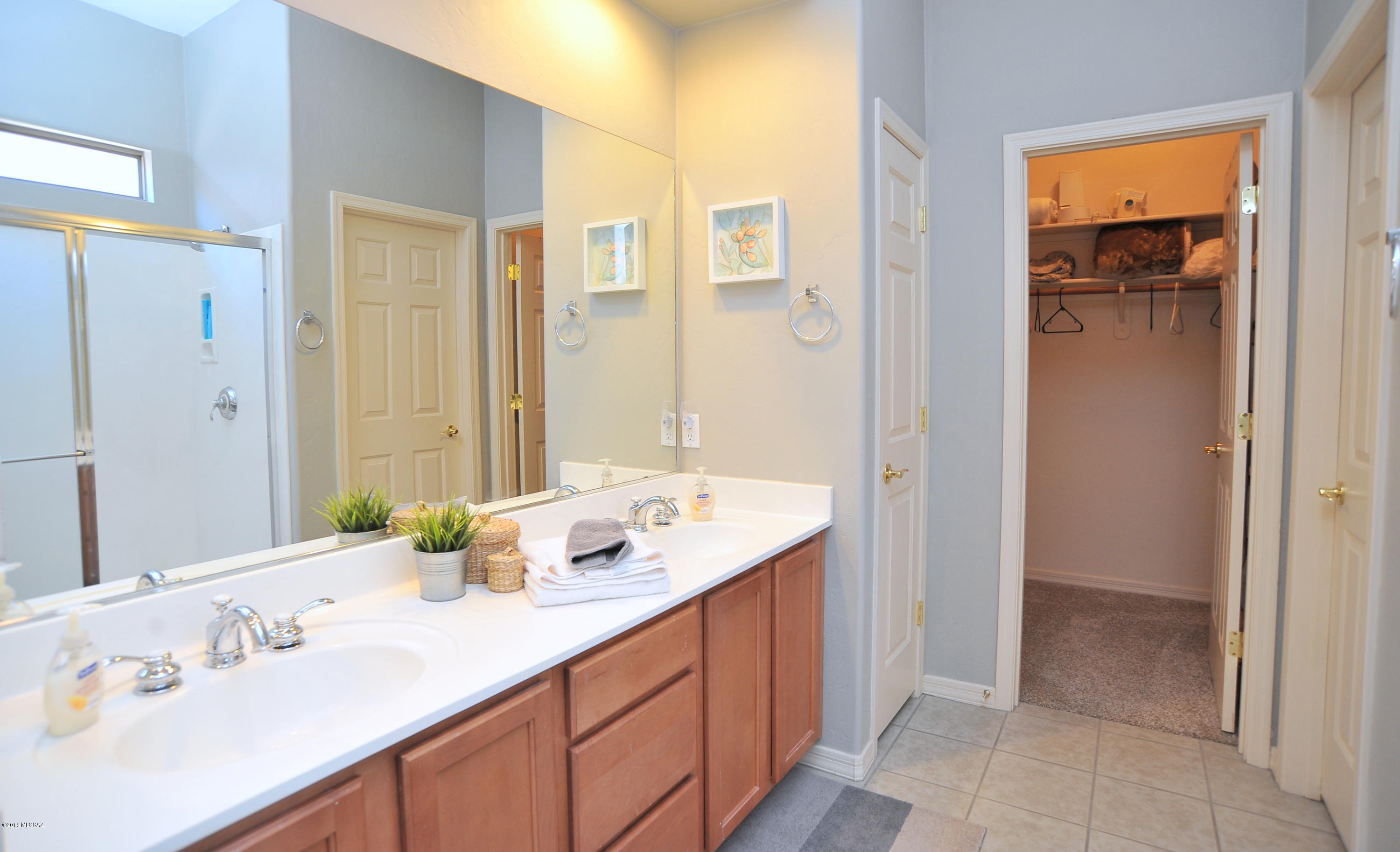 Pinnacle @ Sabino Springs resub (1-62) - Residential
