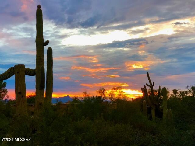 Catalina Foothills Est 9 - Residential Lease