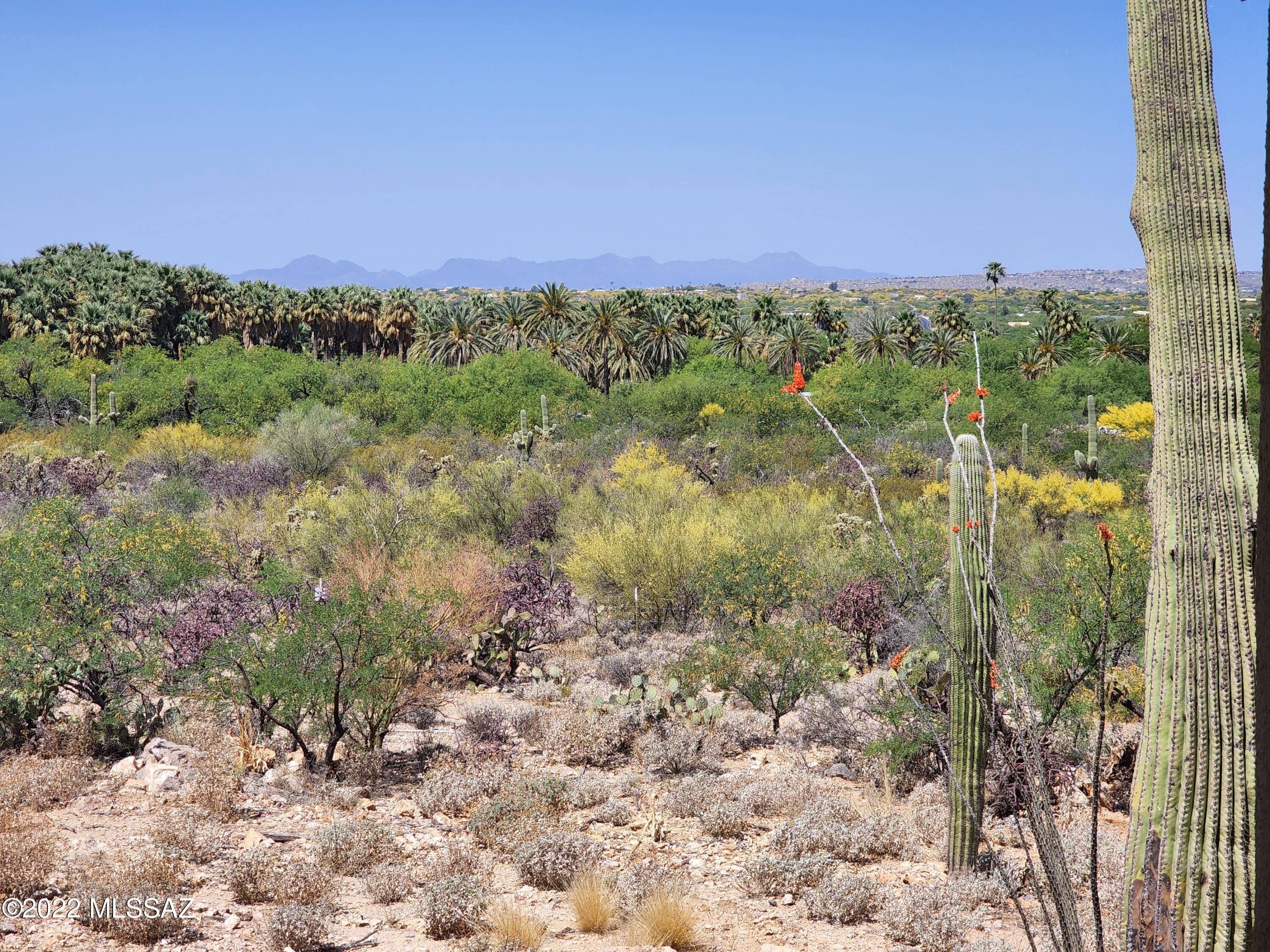 Agua Caliente Estates (1-82) - Residential
