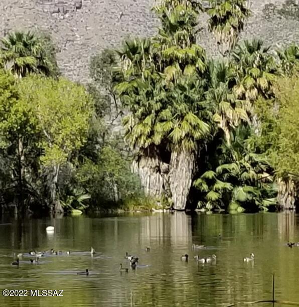 Agua Caliente Estates (1-82) - Residential