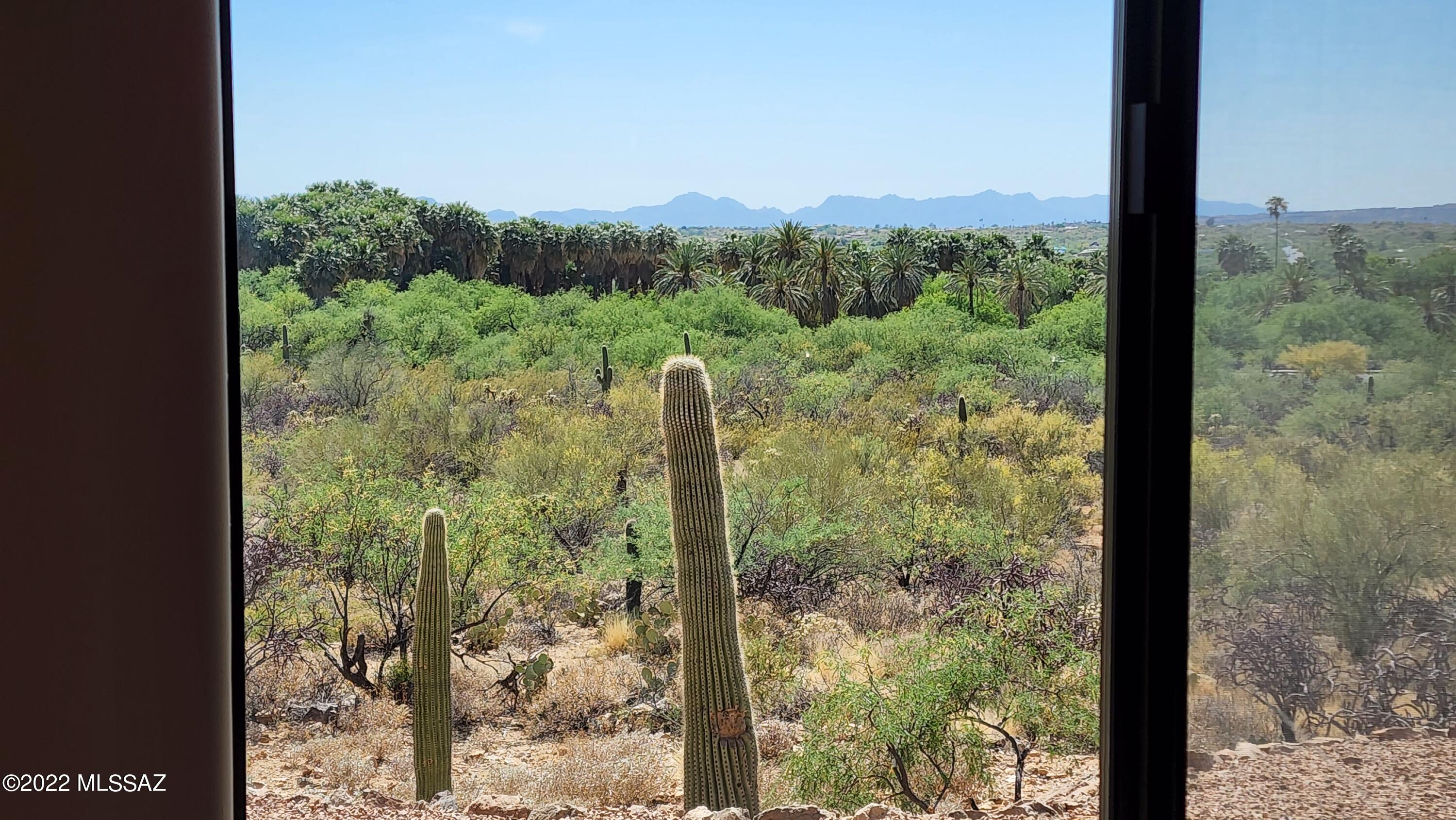 Agua Caliente Estates (1-82) - Residential