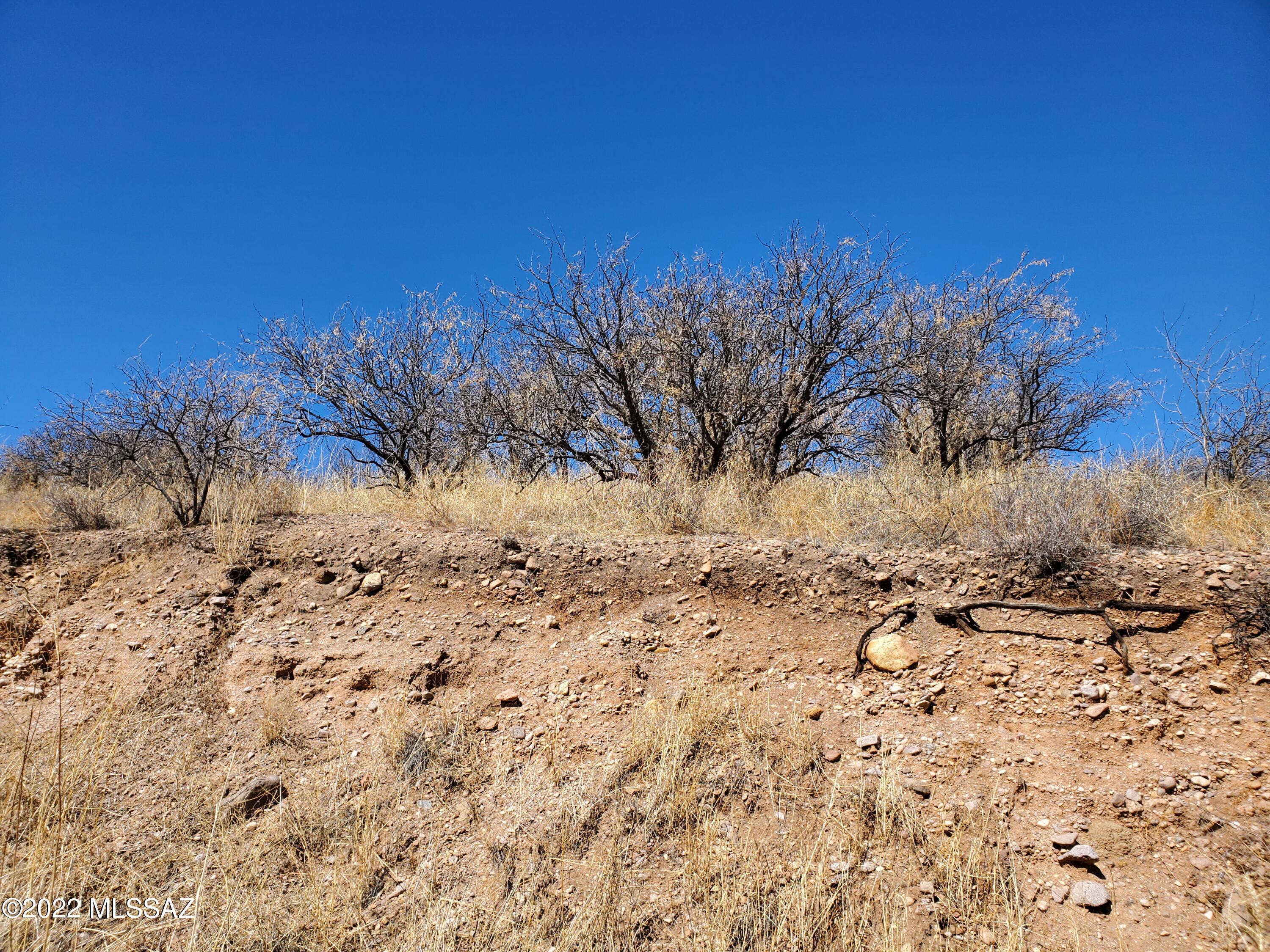 Large rolling lot with beautiful views.  Close to shops and the interstate.  Water & electric should be verified during inspections.  No percolation test has been done.