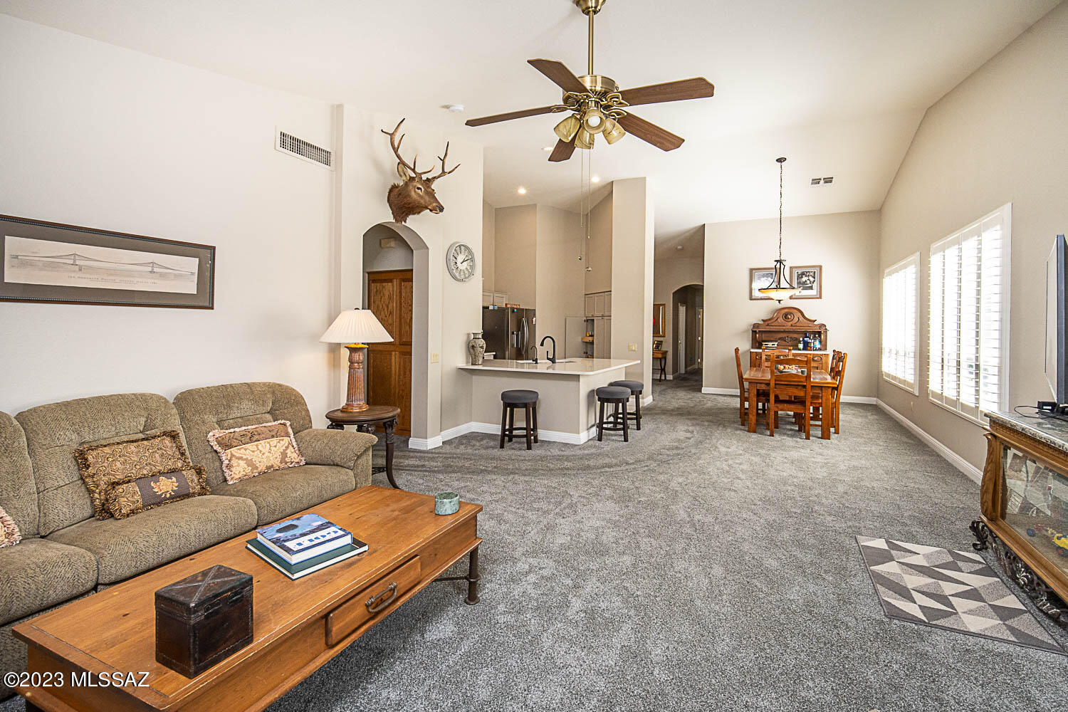 Saddlebrooke - Residential