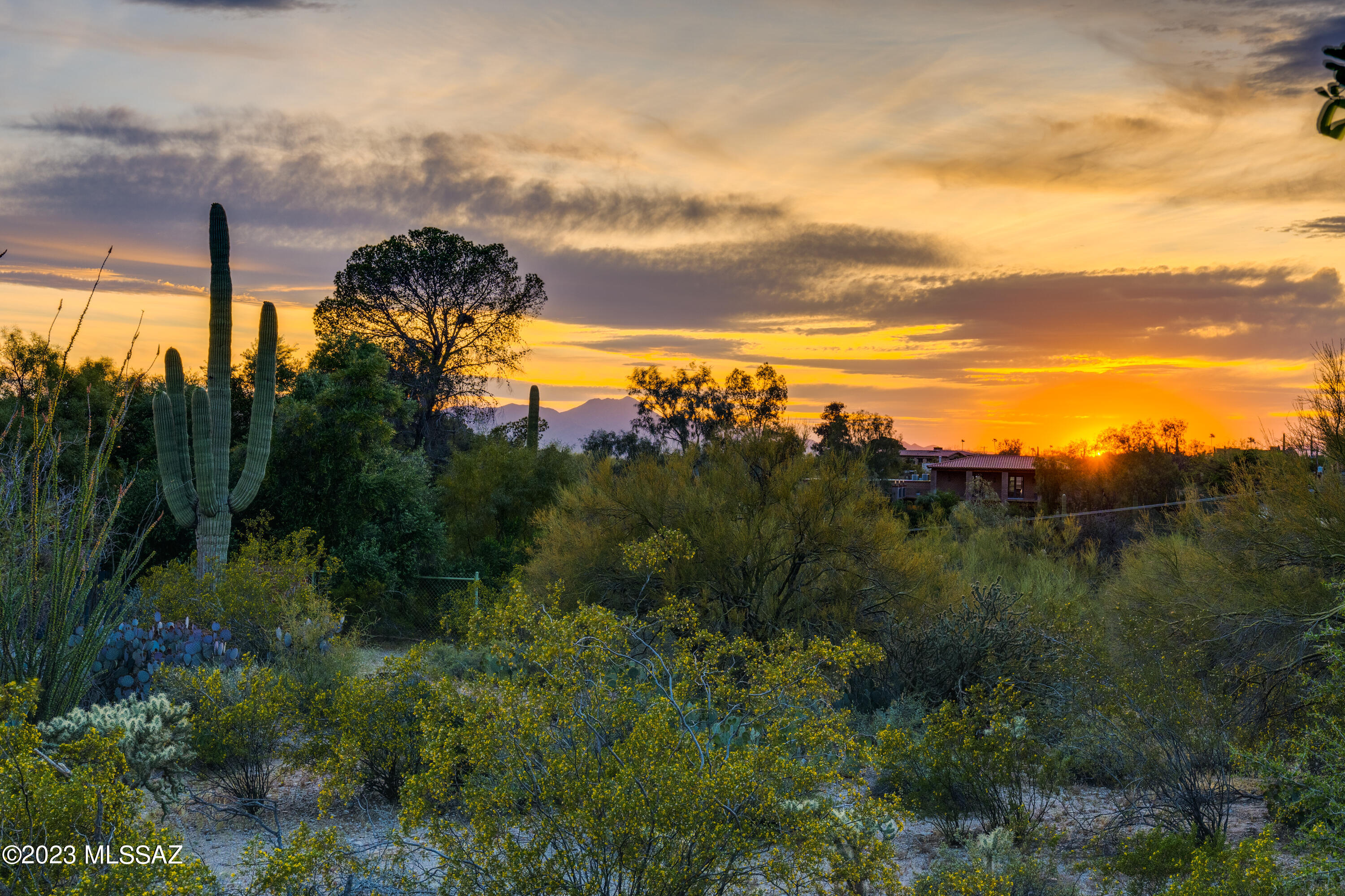 Catalina Foothills Estates NO. 2 - Residential