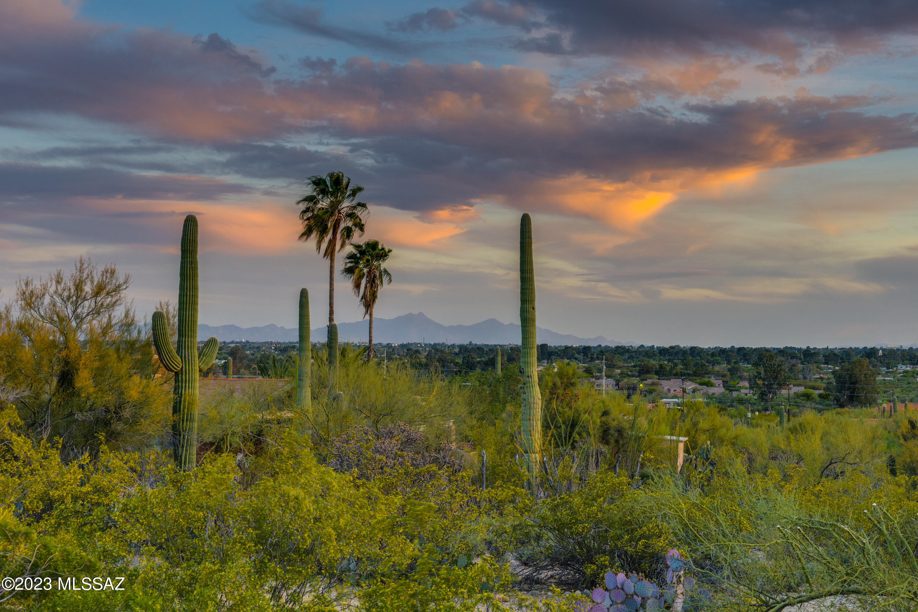 Catalina Foothills Estates NO. 2 - Residential