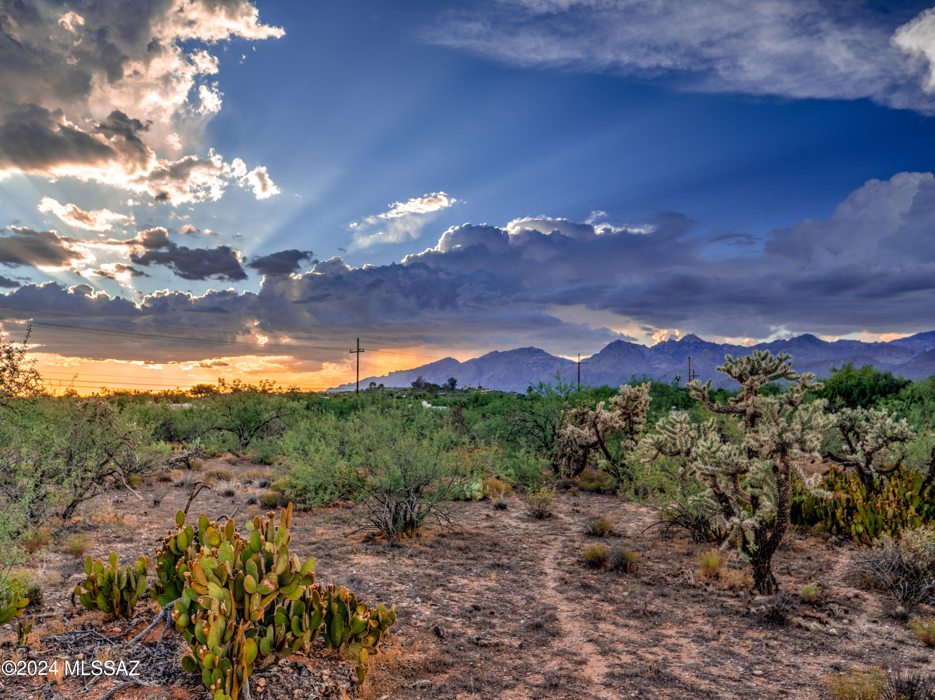 Location, location, location! This stunning 3.33-acre lot in Tanque Verde Valley sits at one of the area's higher elevations. This horse-friendly property offers no HOA and no CC&Rs. Enjoy easy street access, breathtaking mountain views to the north and east, and spectacular sunsets. The property has a slight slope, with the highest point being ideal for a home site, offering views over Tanque Verde Wash. Located in the esteemed Tanque Verde School District, known for its exemplary and highly rated schools, this lot falls within an ''A'' grade district as determined by the Arizona Department of Education. You'll be close to shopping, restaurants, hiking, biking, and entertainment. For a quick escape from the heat, Summerhaven and Ski Valley are just a quick 45-minute drive away. Vacant lots like this are rare in the highly sought-after 85749 zip code.