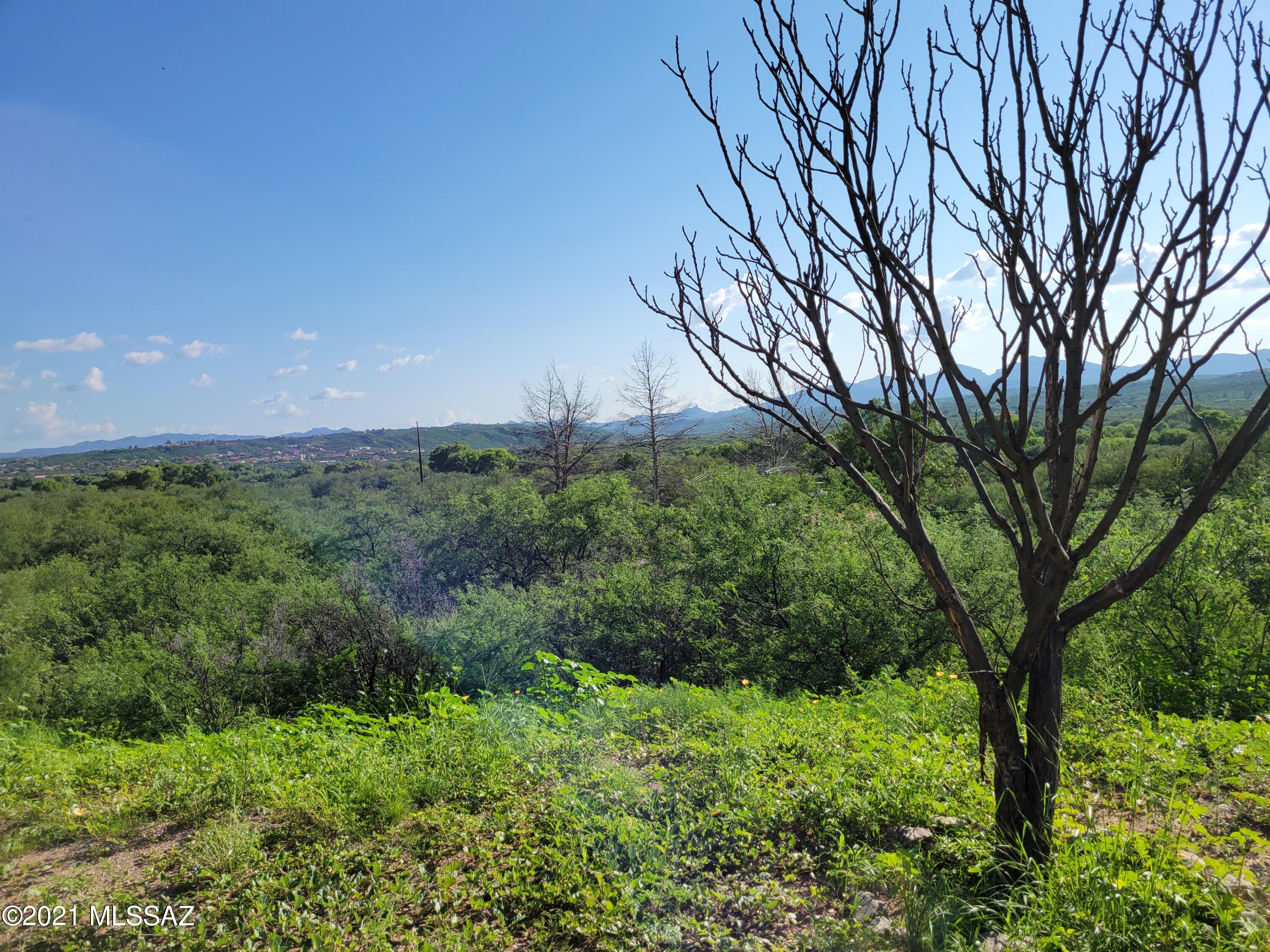 Rio Rico Unit 3 - Residential