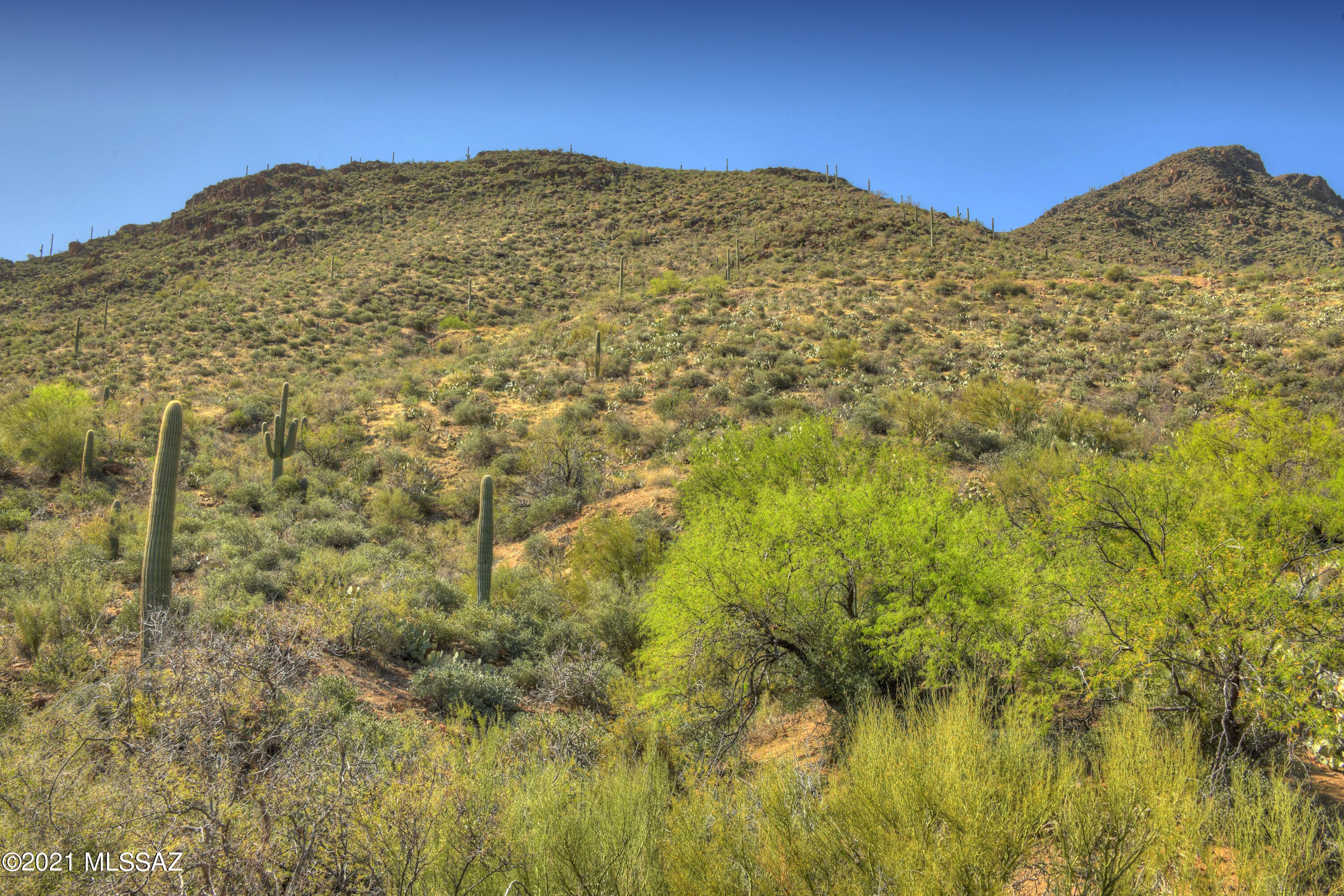 Trails End Estates (1-44) - Land
