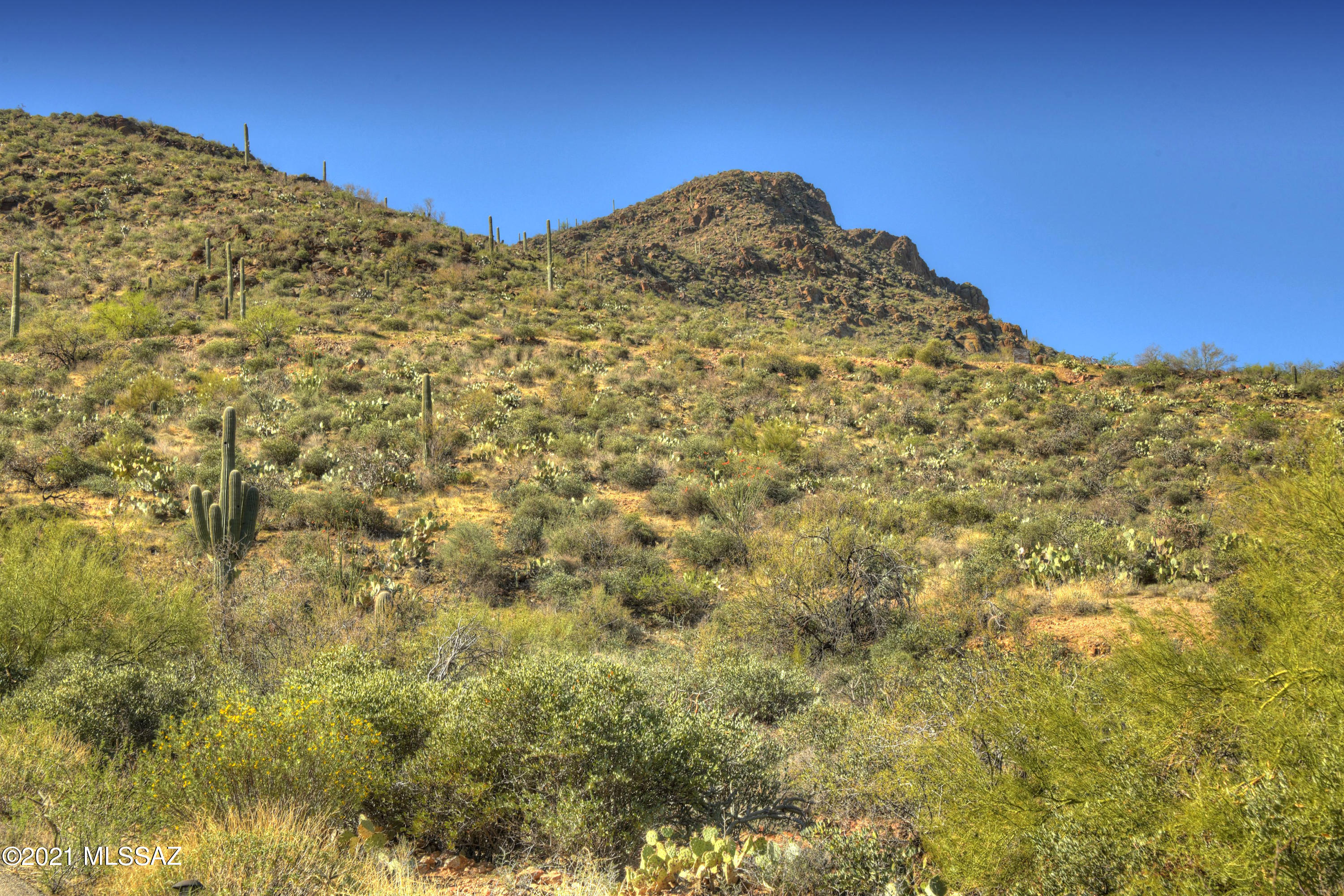 Trails End Estates (1-44) - Land