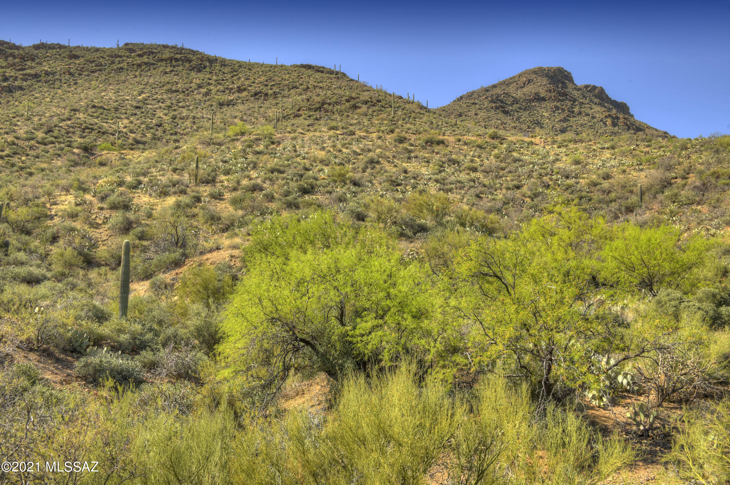 Trails End Estates (1-44) - Land