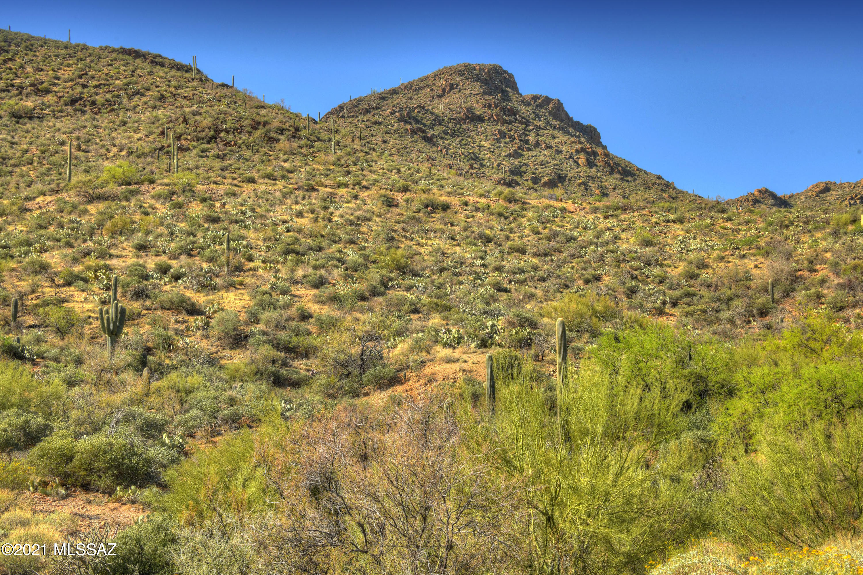Trails End Estates (1-44) - Land
