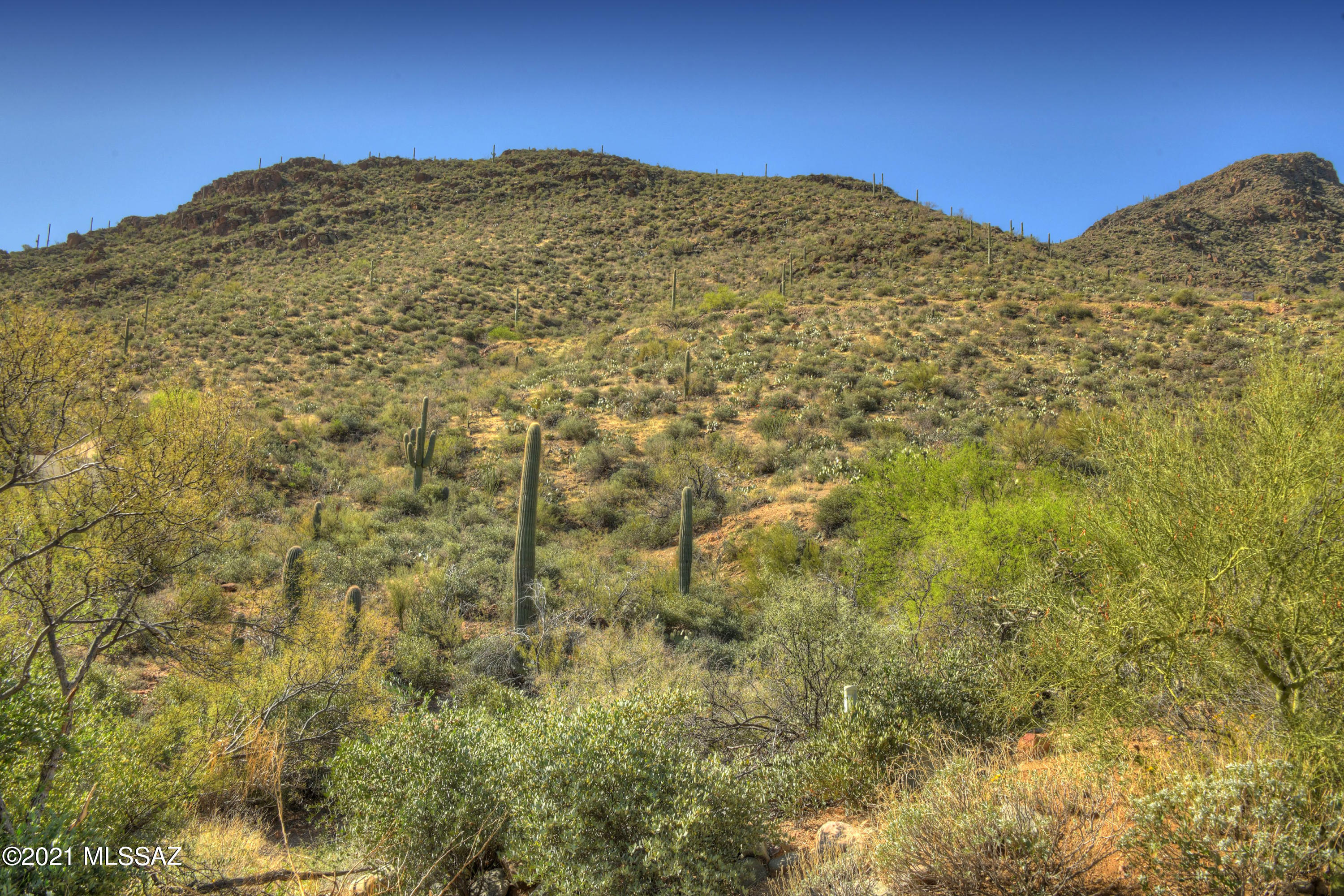 Trails End Estates (1-44) - Land