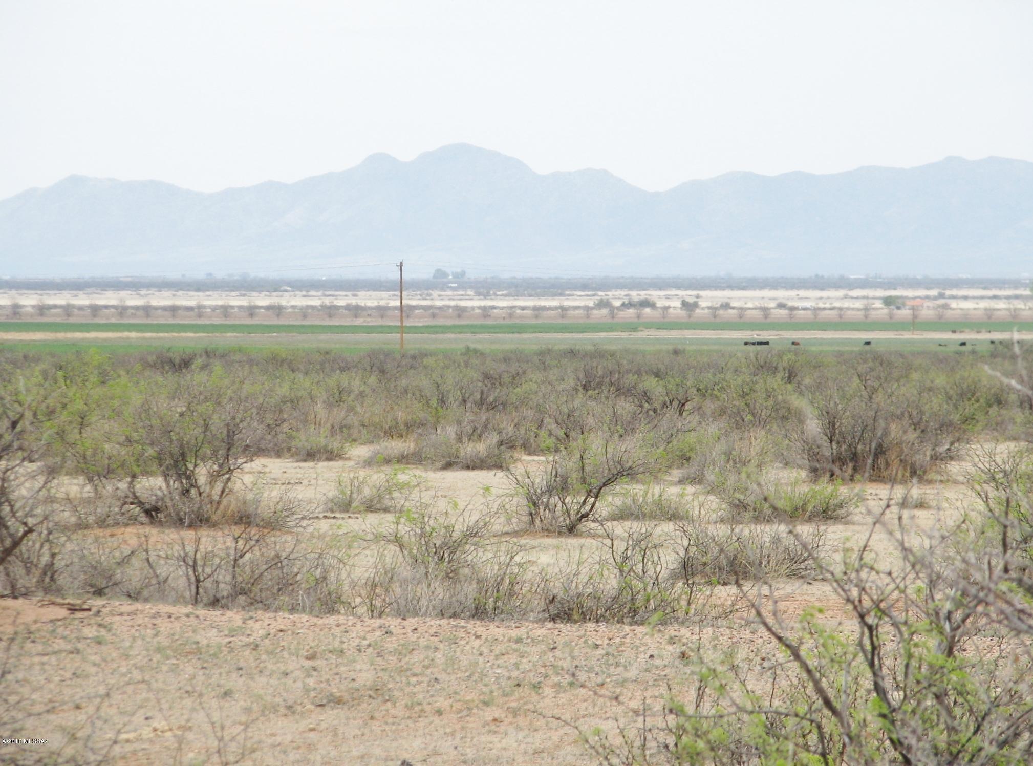 Highway 191 Frontage and Eastland Road Frontage.  At the entrance to Sunsites- Pearce.  Level land that was farmed many years ago but would need scrub mesquite cleared again.  One irrigation well, 18'' casing deepened in 1966 to 807 feet. Three Phase Electric and Natural Gas on north side. Operating farms border on the north and east. Eastland Road is north property boundary.
