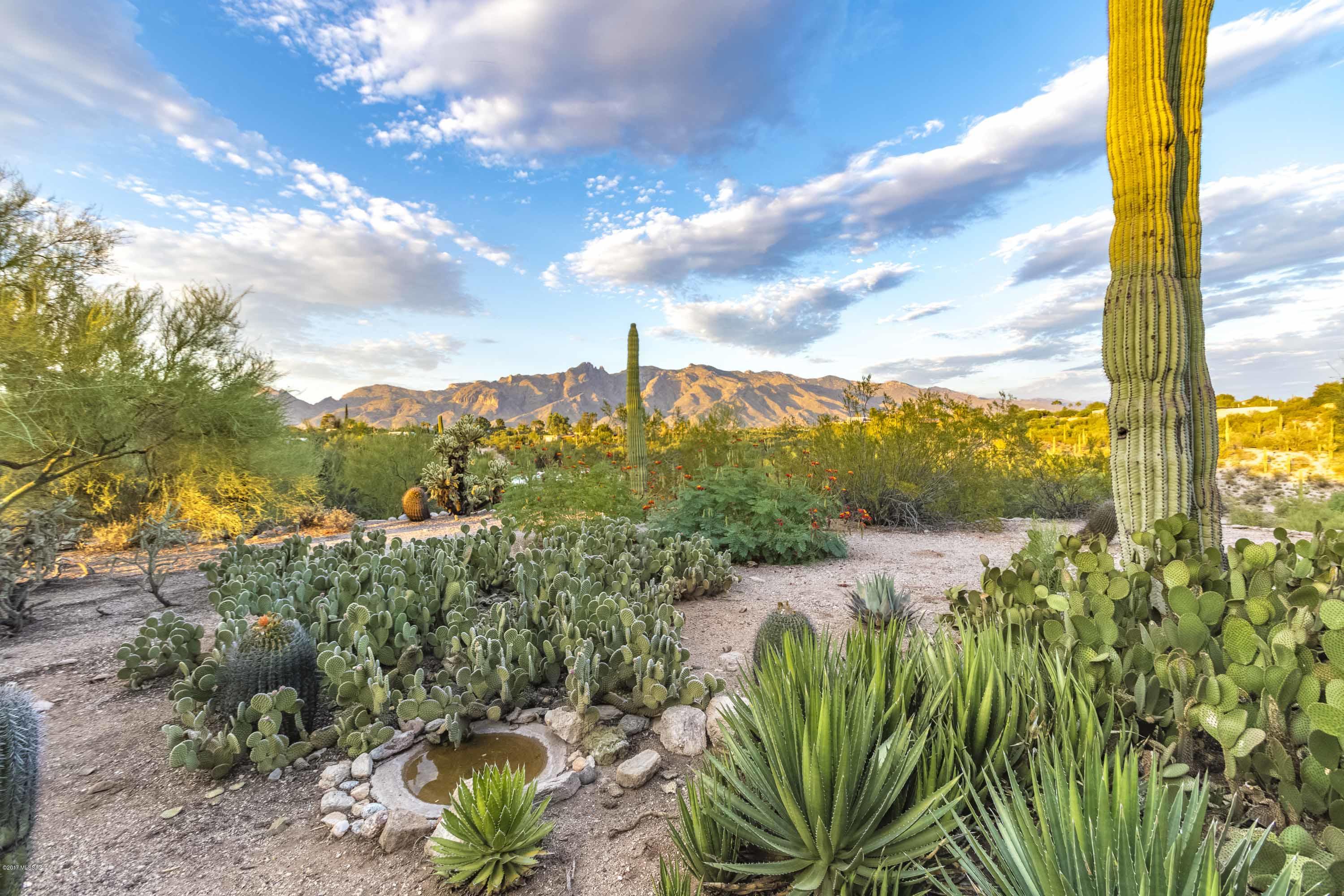 Catalina Foothills Estates - Residential