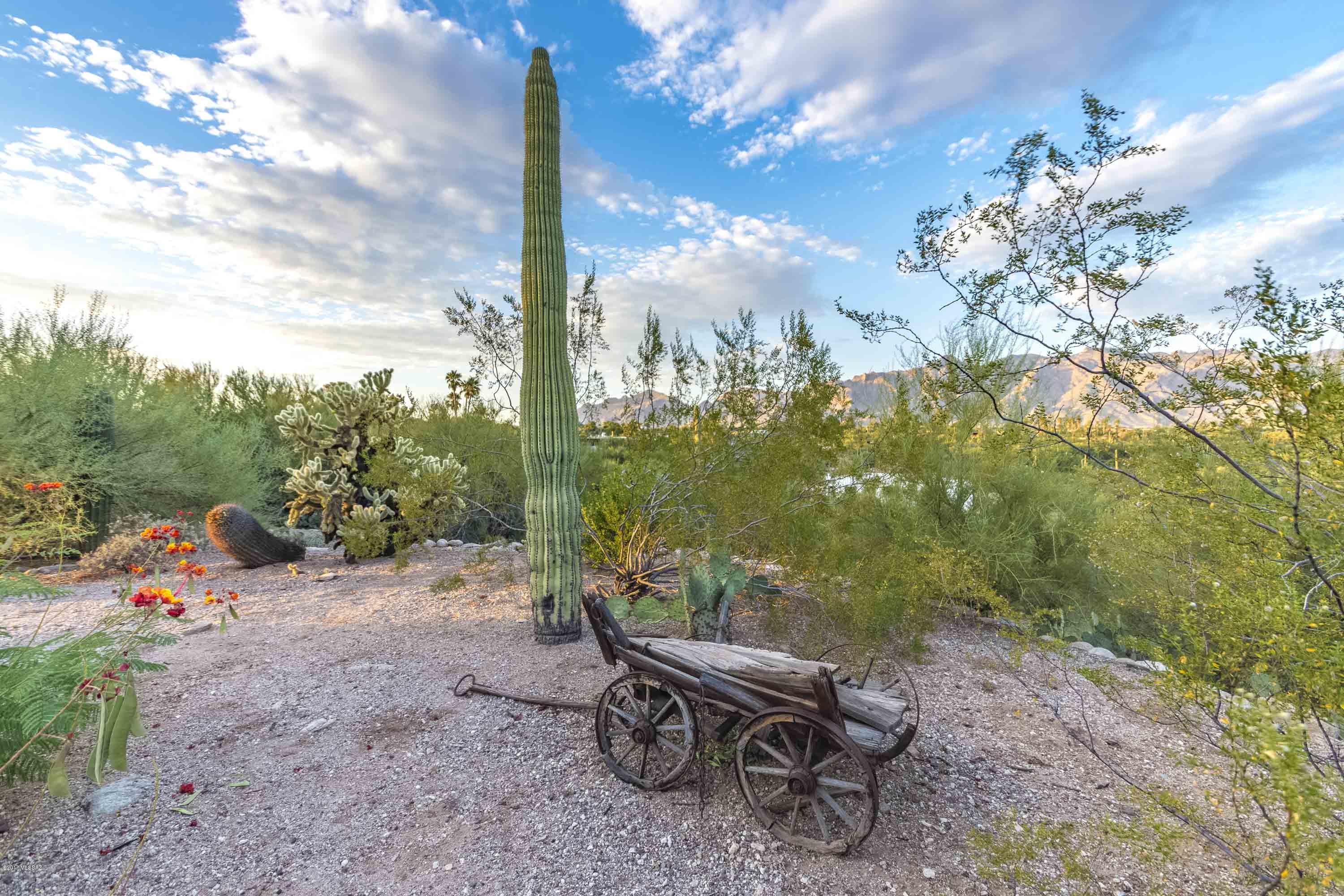 Catalina Foothills Estates - Residential