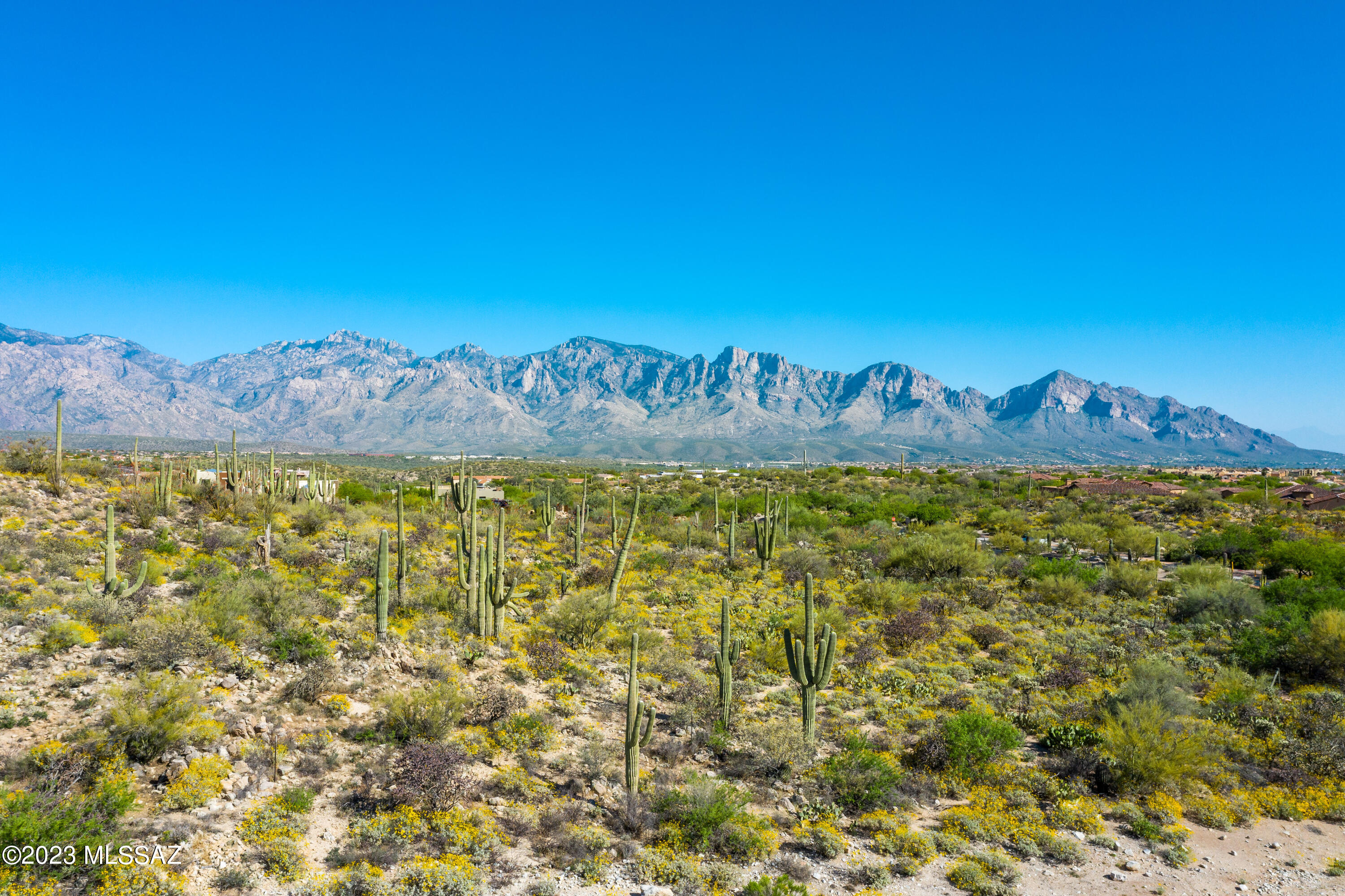 Stone Canyon VIII (486-602) - Residential