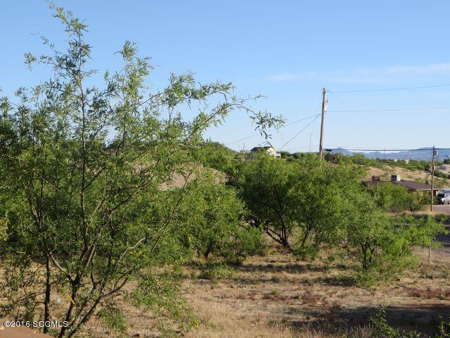 Rio Rico Ranchettes 3 - Residential
