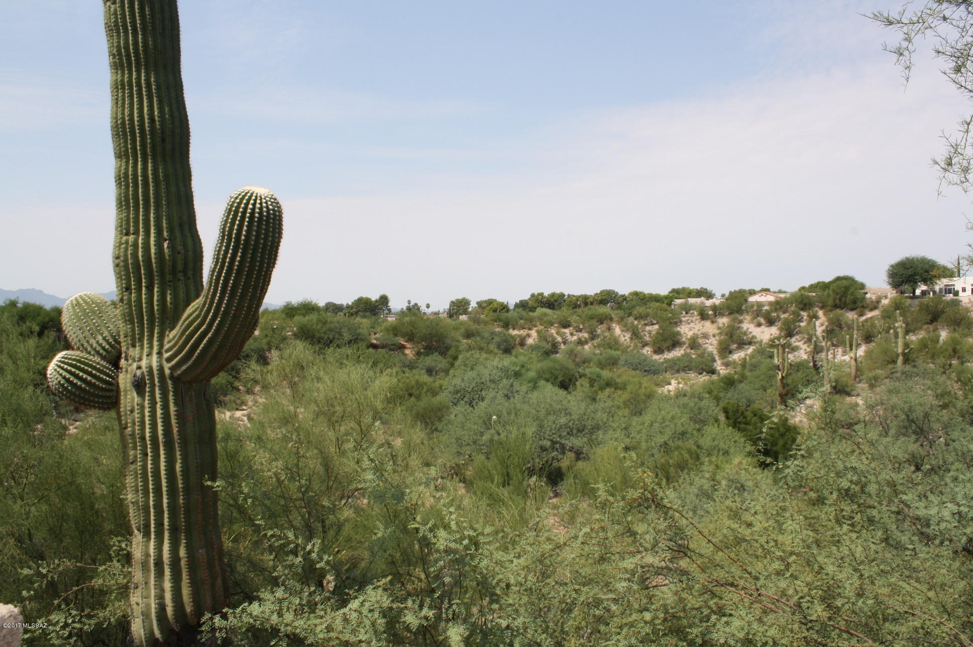 Rancho Arboleda (1-110) - Residential Lease
