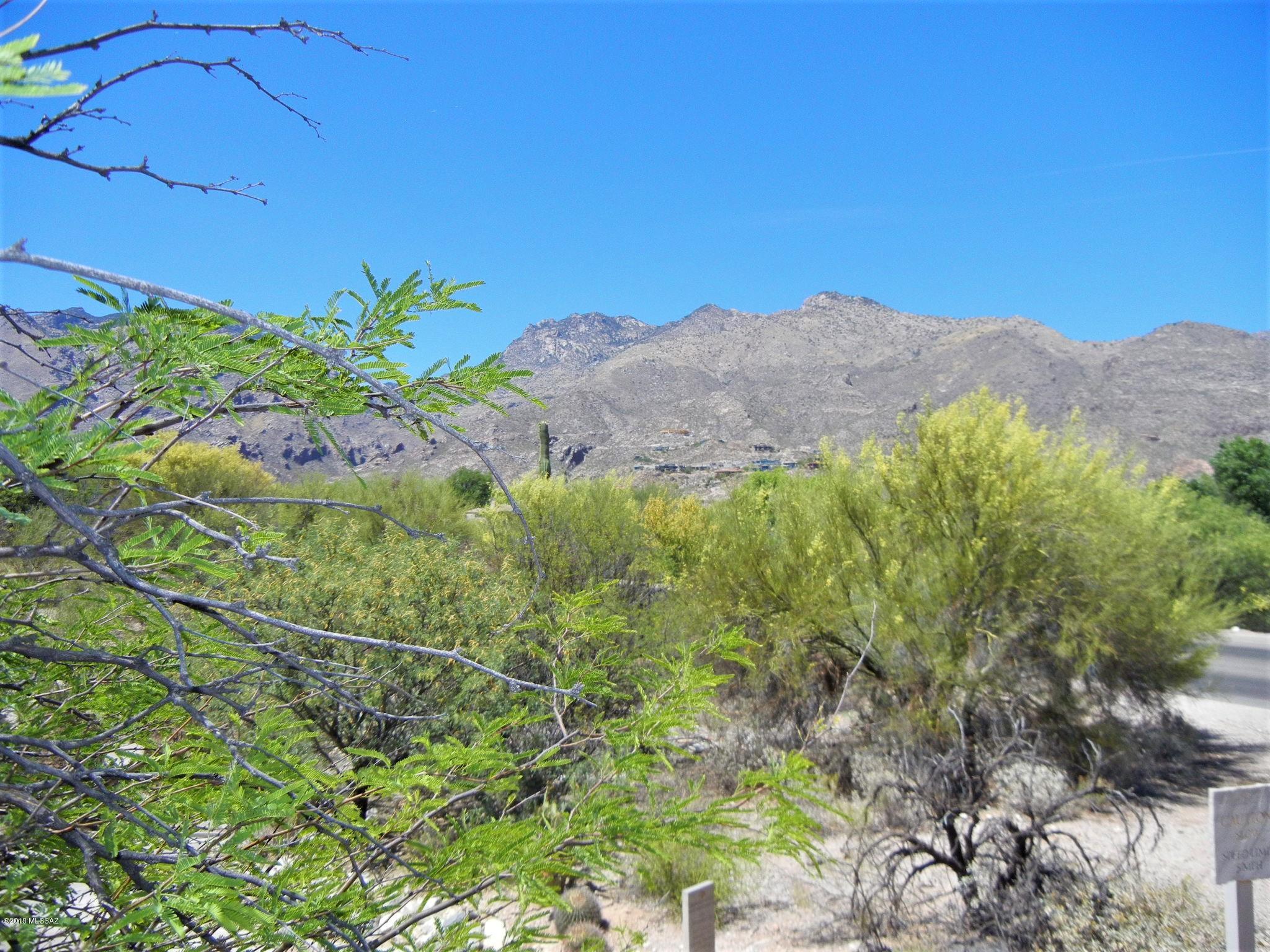Greens at Ventana Canyon - Residential