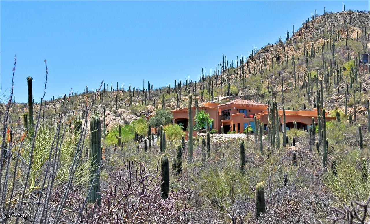 Estates at Starr Pass (The) - Residential