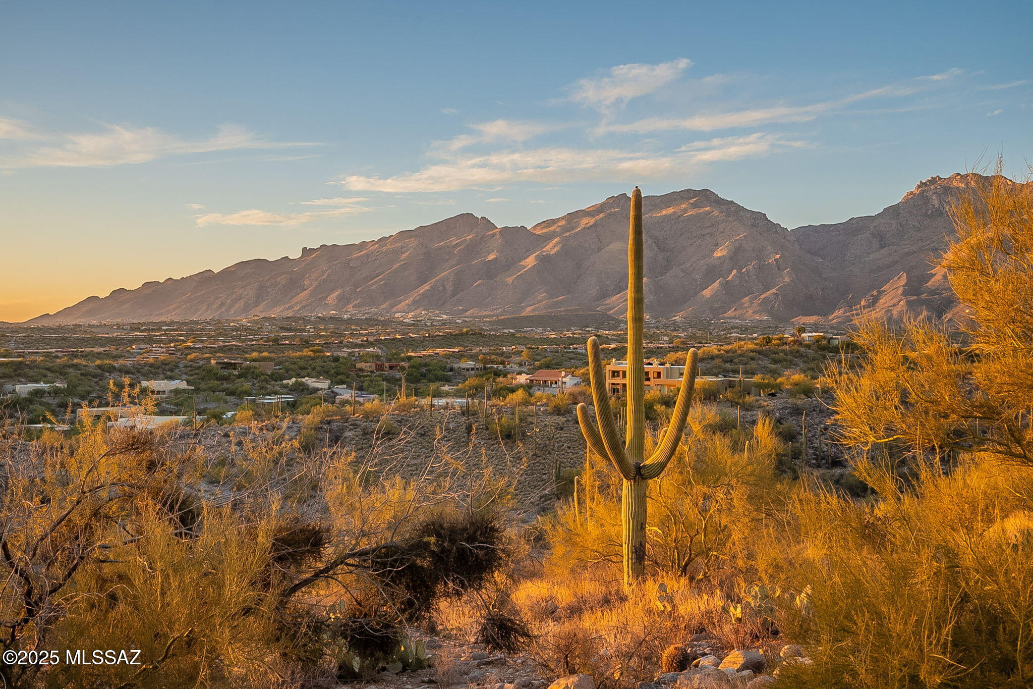 Canyon Ridge (1-40) - Residential