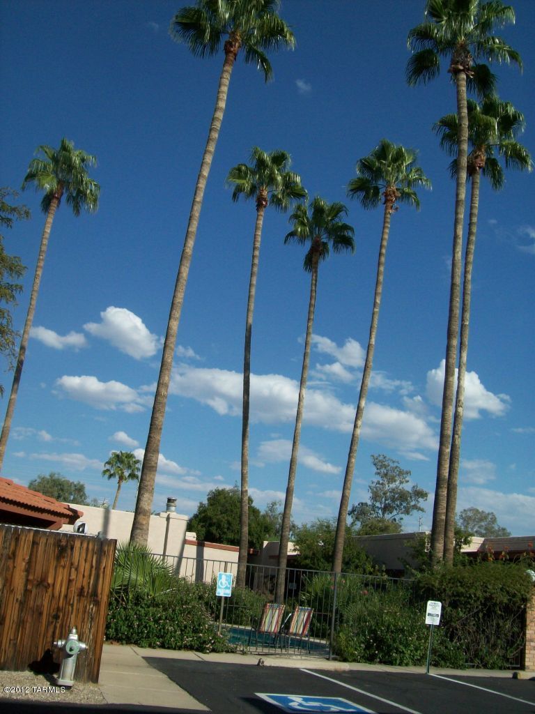Linden Place Condos (1-34) - Residential Lease