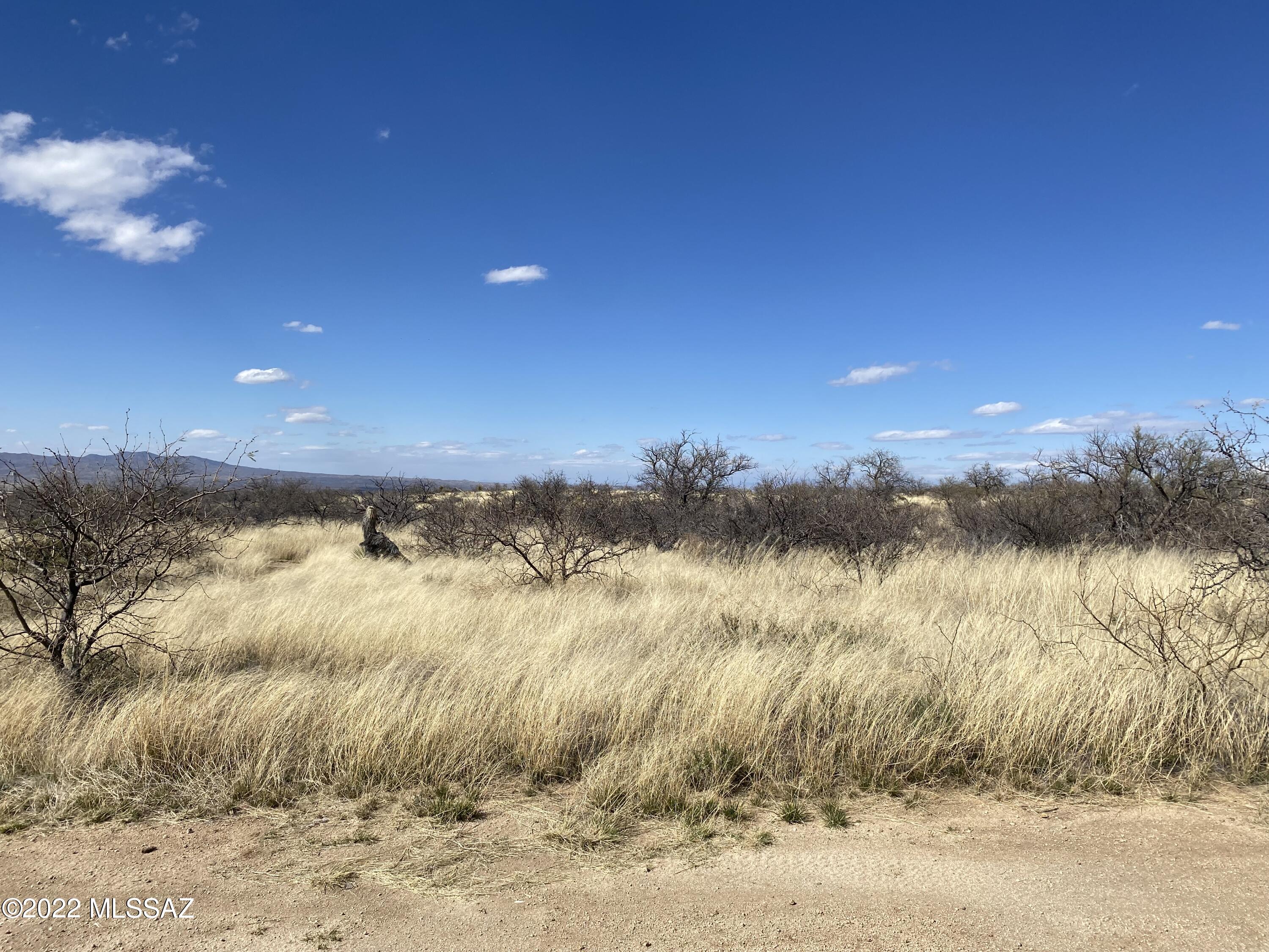 Custom home lot like the neighbors around it, one of last fill in lots that doesn't require a well in the neighborhood!

Usable parcel adjoining state land 

Mountain views Lush desert 4200' elevation Cannot be subdivided 
Power and water at the lot line
Water with Arizona Water Company 
If putting address into Google, use neighbor address of 3185 W Starry Sky Oracle AZ Property is past the gate but
before this address at the end of the road on right