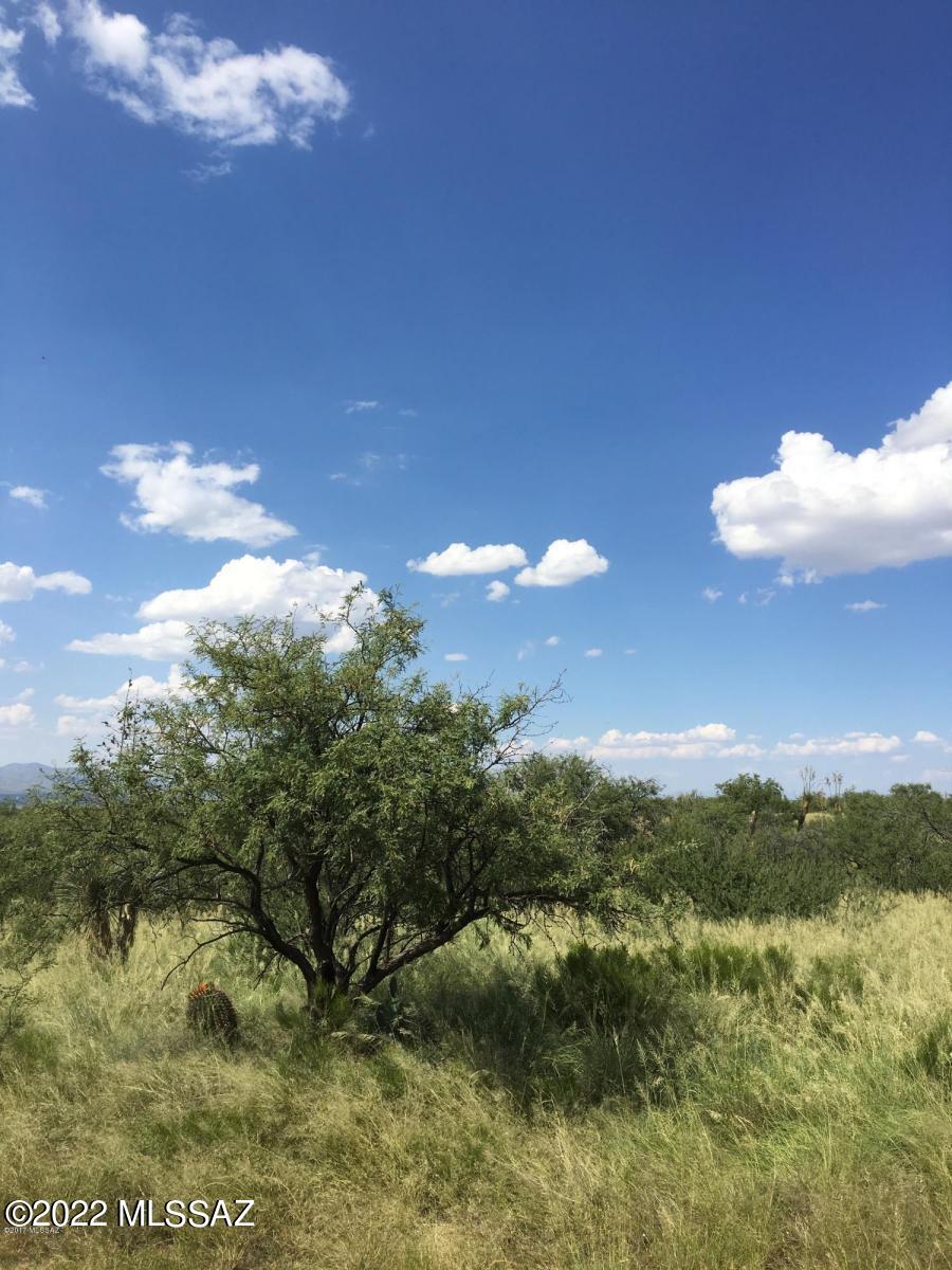 Unsubdivided - Land
