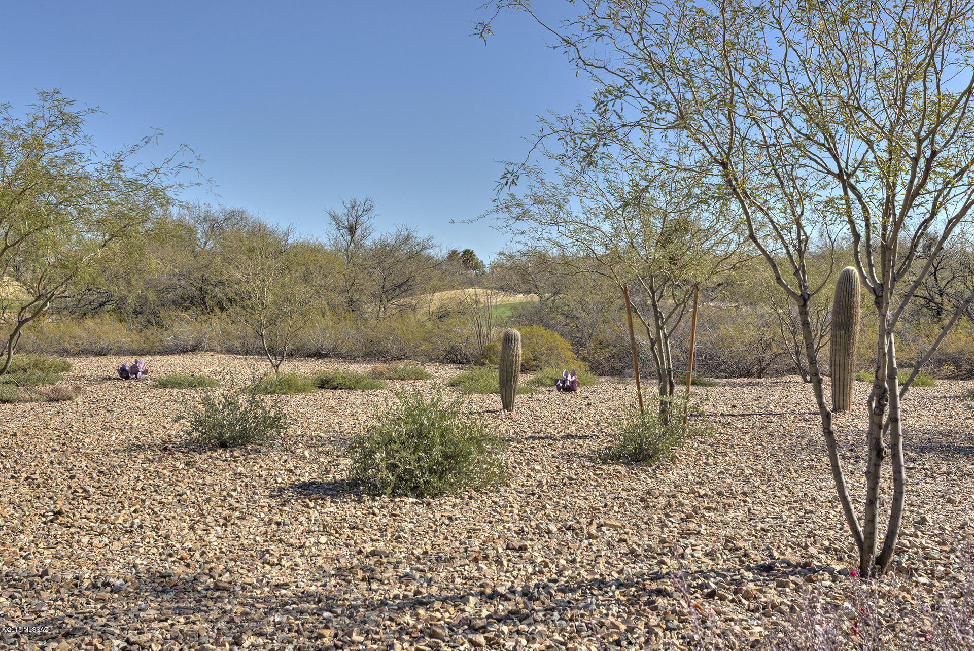 Quail Creek (1-306) - Residential