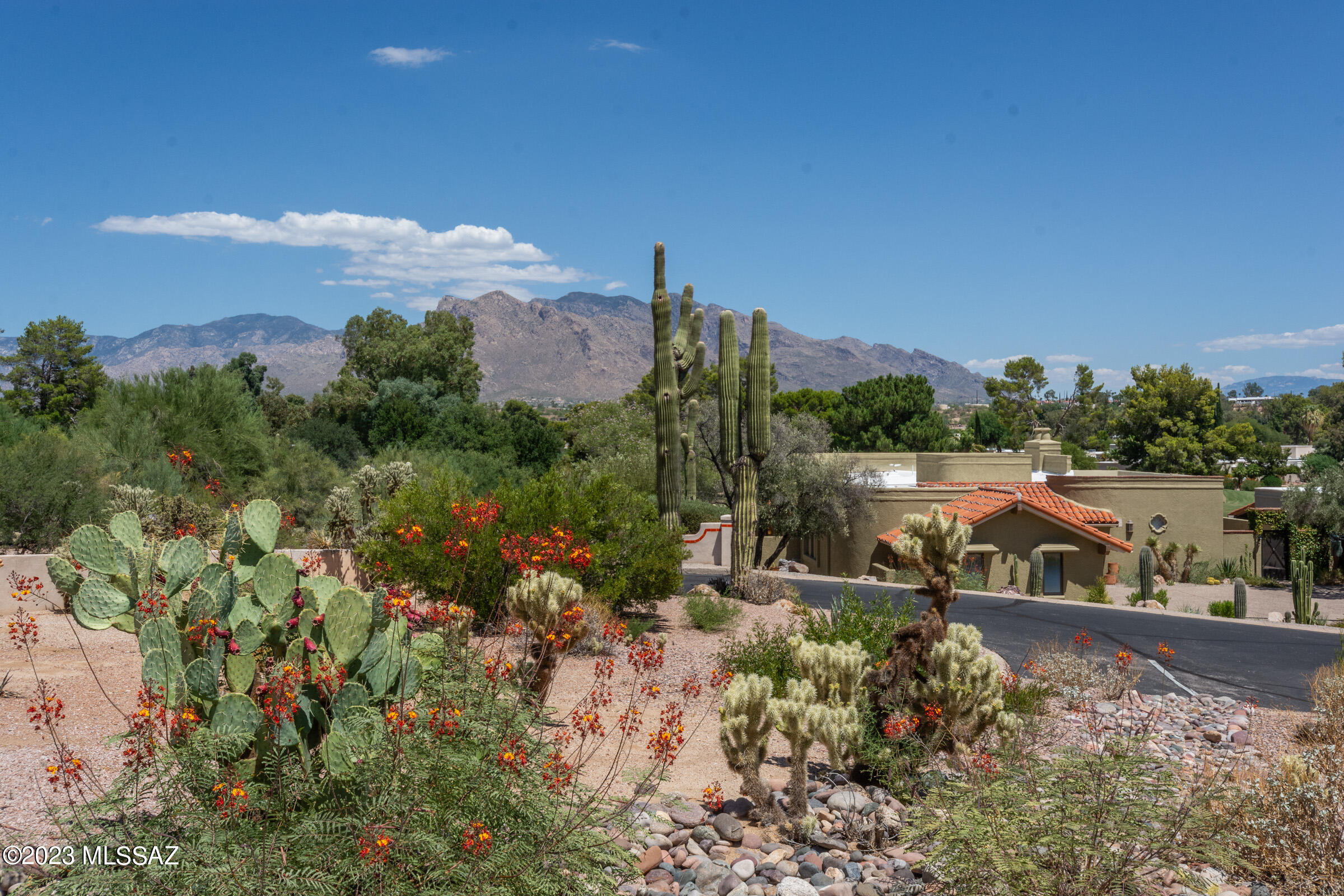 Panoramic Catalina Mountain Views are the back drop for the fabulous home in guard gated Omni Tucson National Resort. Oversized Northeast facing lot backs to common area giving a sense of space with sweeping mountain views. The wrap around patios are perfect for entertaining enjoying the quiet & beauty of the desert surroundings. The home interior is a study of light and space offering a casually elegant decor. Spacious great room featuring gas fireplace, beverage bar/refrigerator, higher ceilings opens to a handsomely designed kitchen. Amenities include custom cabinetry, quartz counters, stainless appliances, induction cook top & island with breakfast bar. All 3 baths tastefully upgraded. Start living the resort life style in a home you'll never want to leave! See Documents Tab for Features and Upgrades list which included Owned Soler and newer Lennox HVAC. Membership available for golf, tennis, and resort amenities.