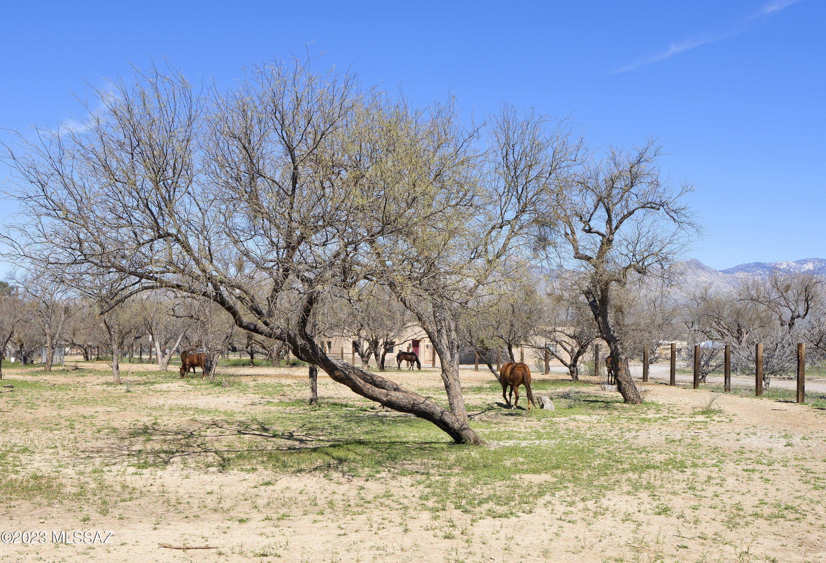 Tanque Verde Country Estates - Residential